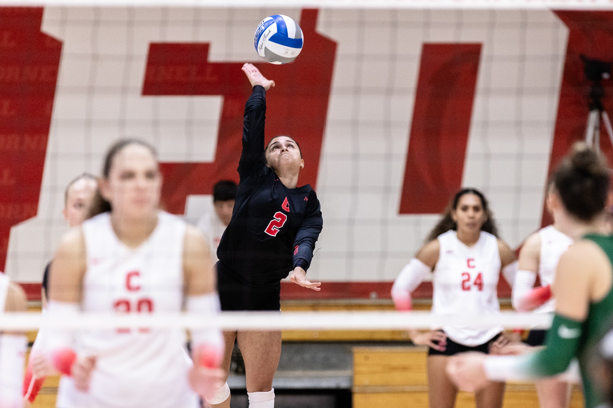 Cornell Volleyball versus Dartmouth at home in Newman Arena on October 9, 2026