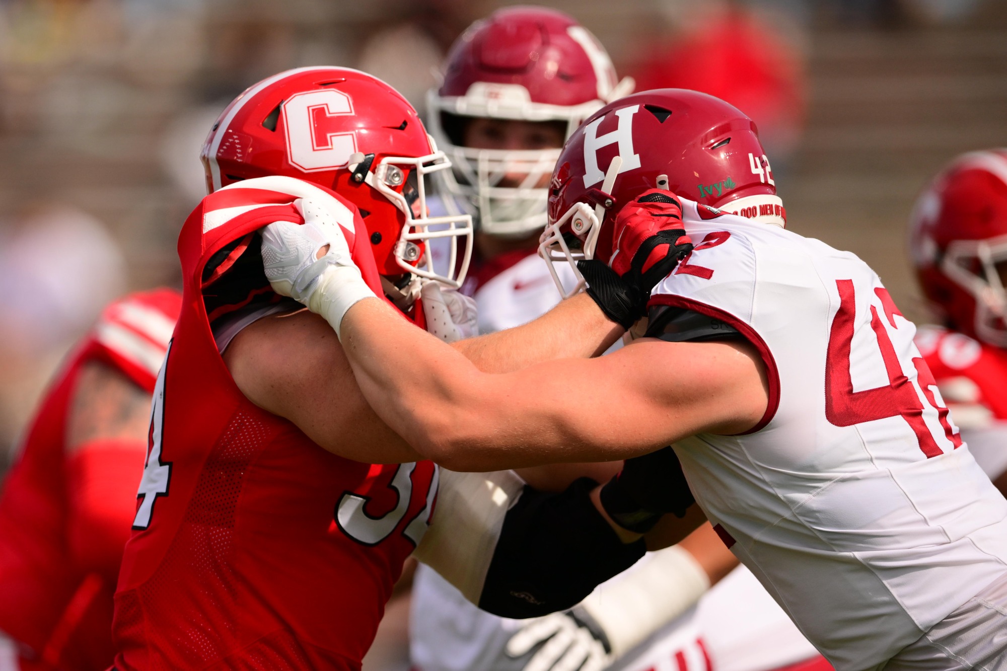 Cornell Football against Harvard on Oct. 10, 2026 at Schoellkopf Field in Ithaca, NY. (Caroline Sherman)
