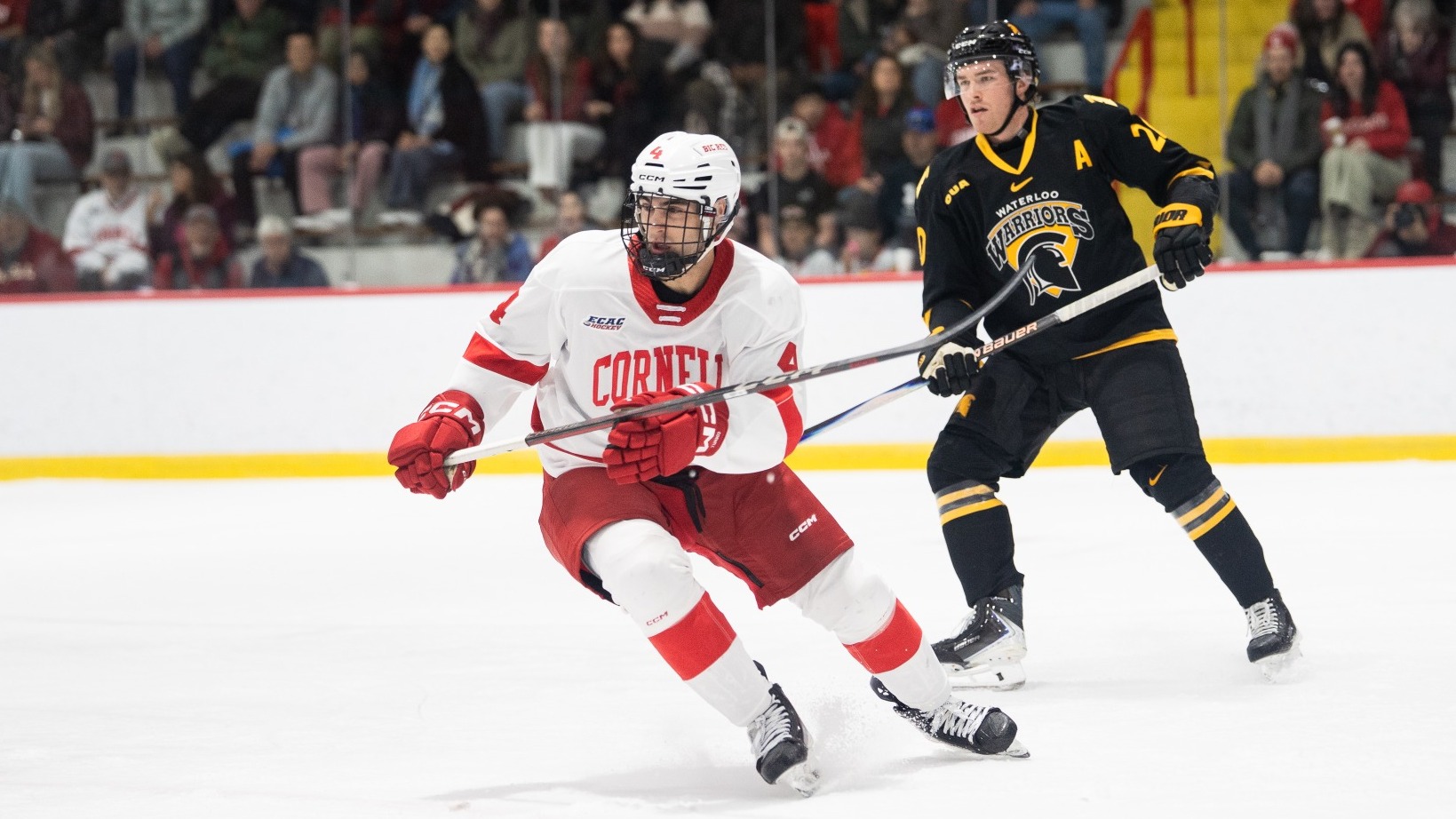 Cornell men's hockey sophomore defenseman Xavier Veilleux skates during game action in an exhibition against Waterloo at Lynah Rink in Ithaca, N.Y., on Oct. 17, 2026.