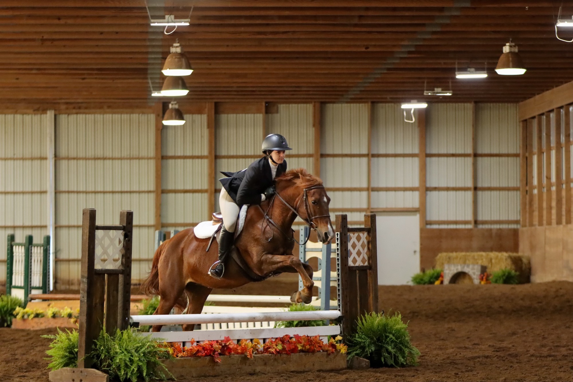 Cornell Equestrian Action Shot