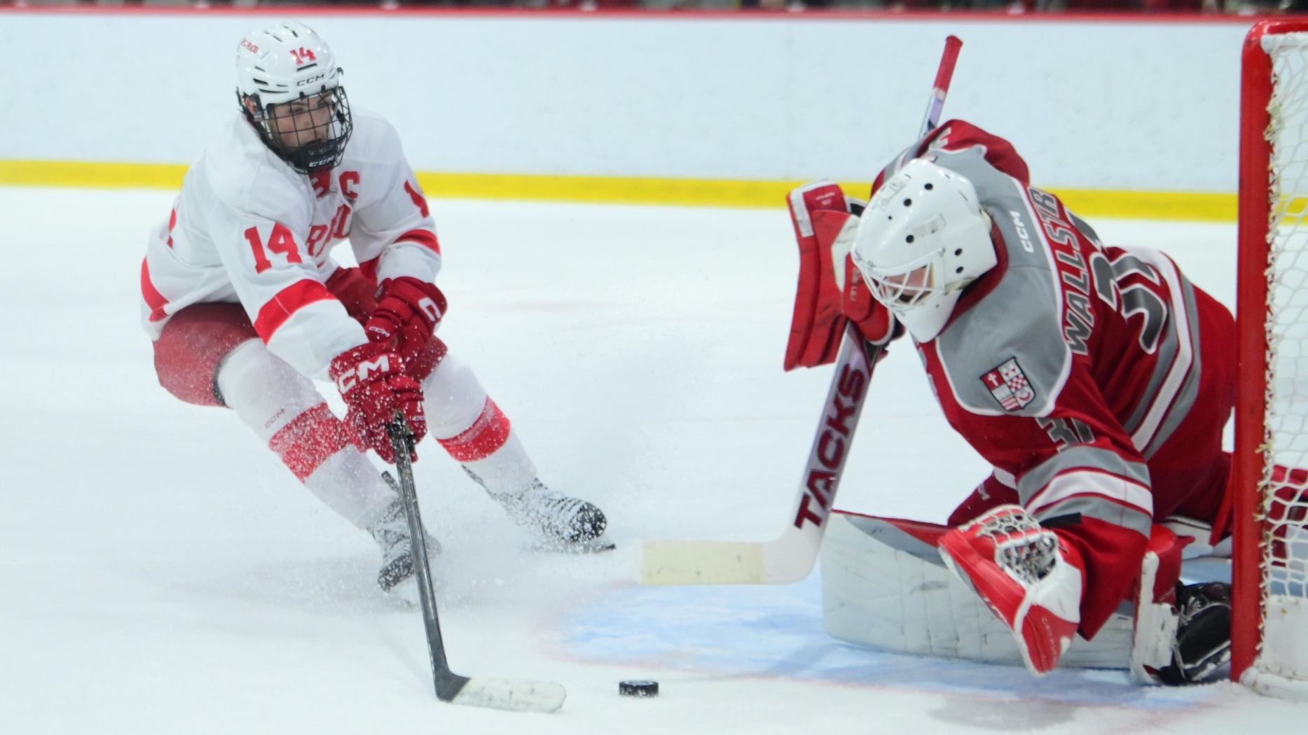 Cornell men's hockey senior forward and captain Ryan Walsh goes to take a shot on Sacred Heart goaltender Nils Wallstrom during game action at Lynah Rink in Ithaca, N.Y., on Oct. 30, 2026.