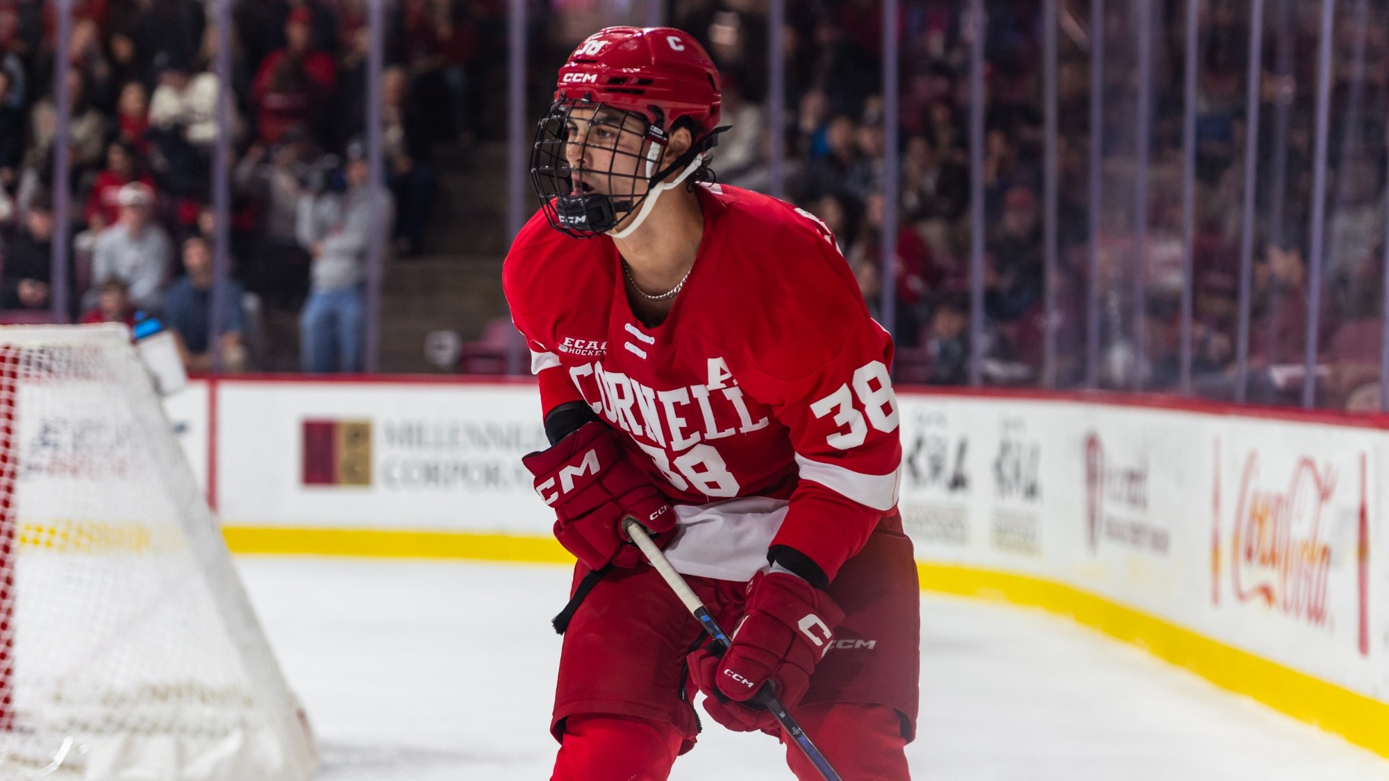 Cornell men's hockey junior forward Jonathan Castagna skates during game action at Harvard on Nov. 7, 2025, at Bright-Landry Hockey Center in Cambridge, Mass.