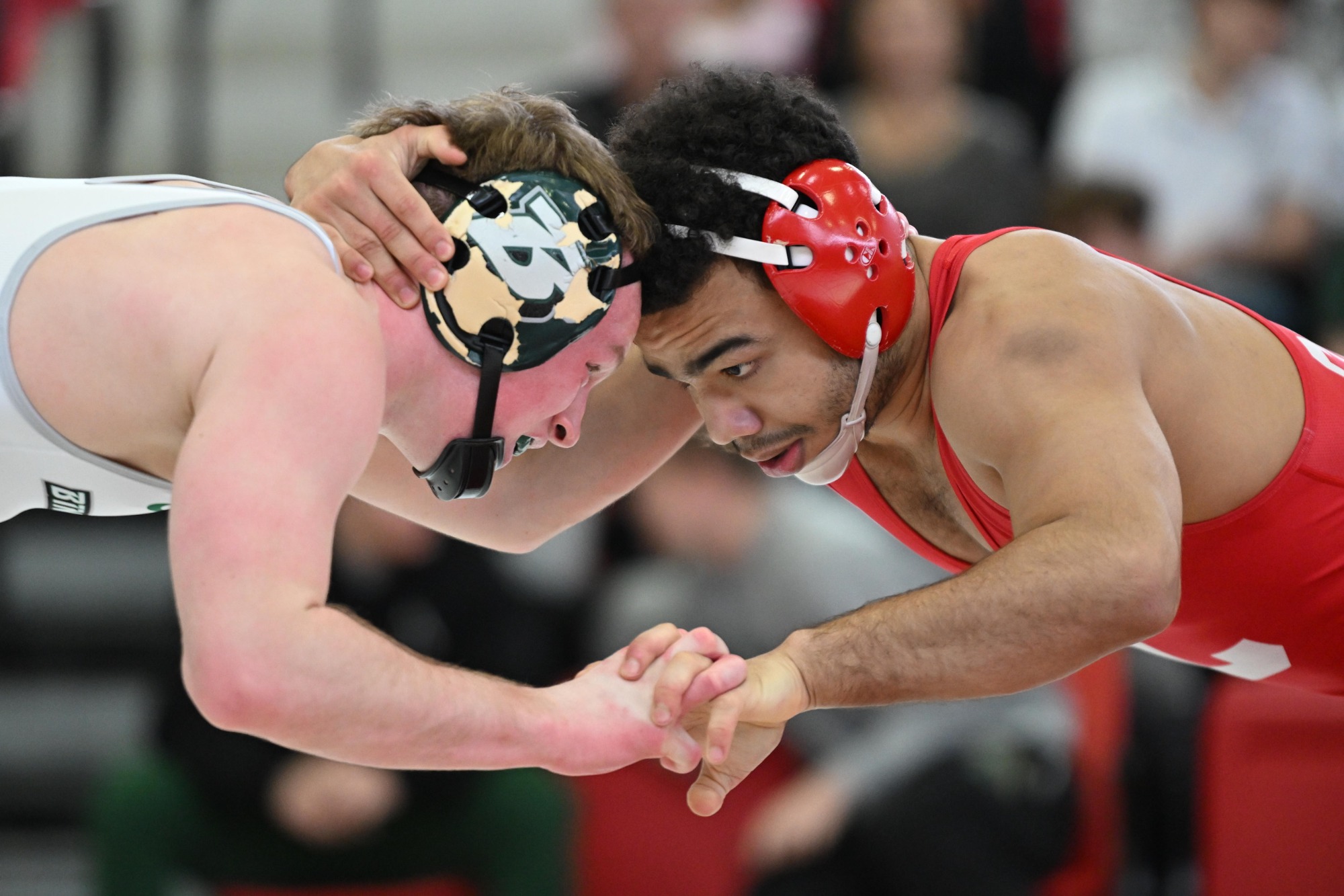 Cornell Wrestling against Binghamton University on Feb. 14, 2026 at Friedman Wrestling Center in Ithaca, NY. (Caroline Sherman)