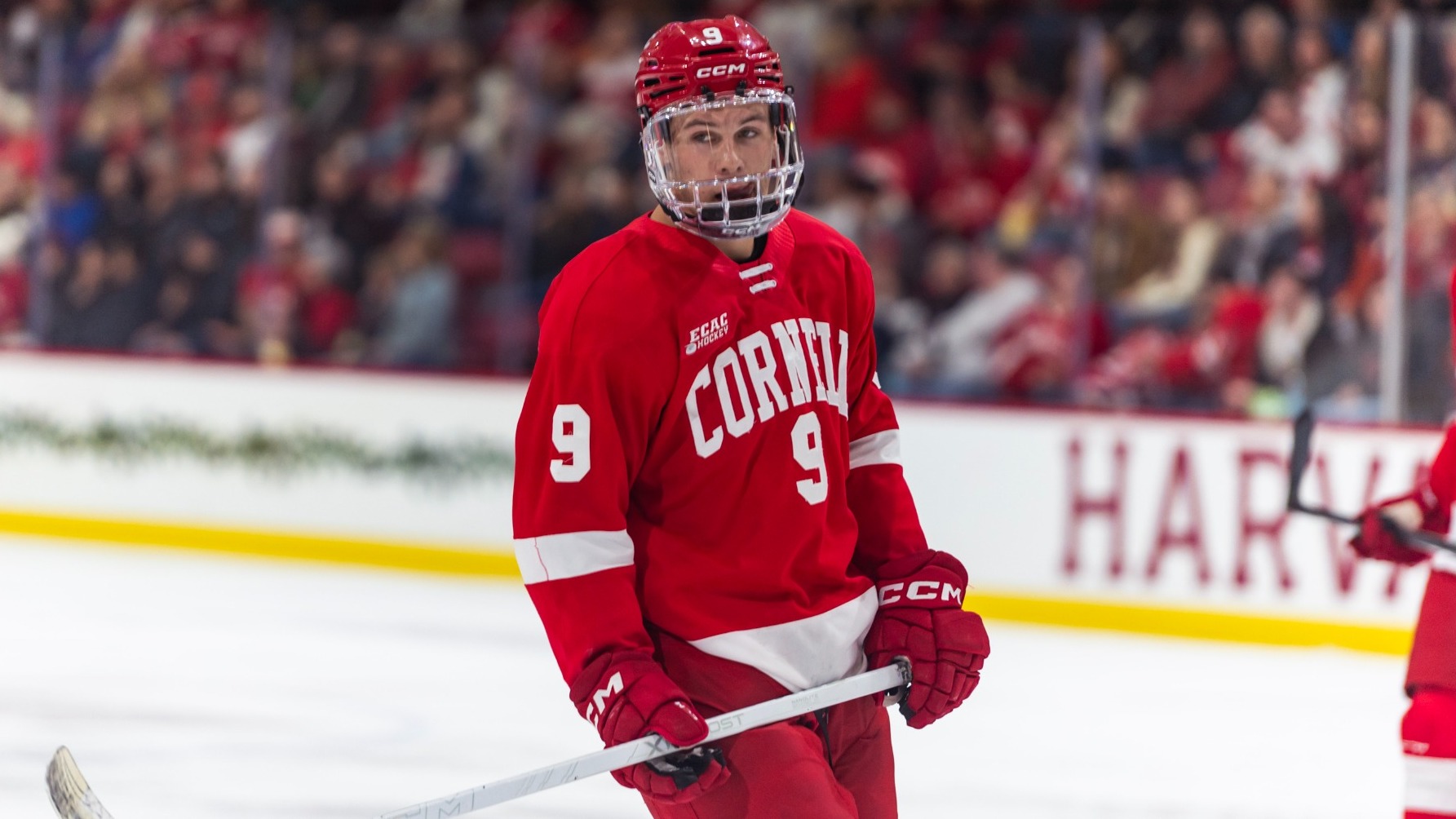 Cornell men's hockey sophomore forward Charlie Major skates during game action against Harvard at Bright-Landry Hockey Center in Cambridge, Mass., on Nov. 7, 2025. 