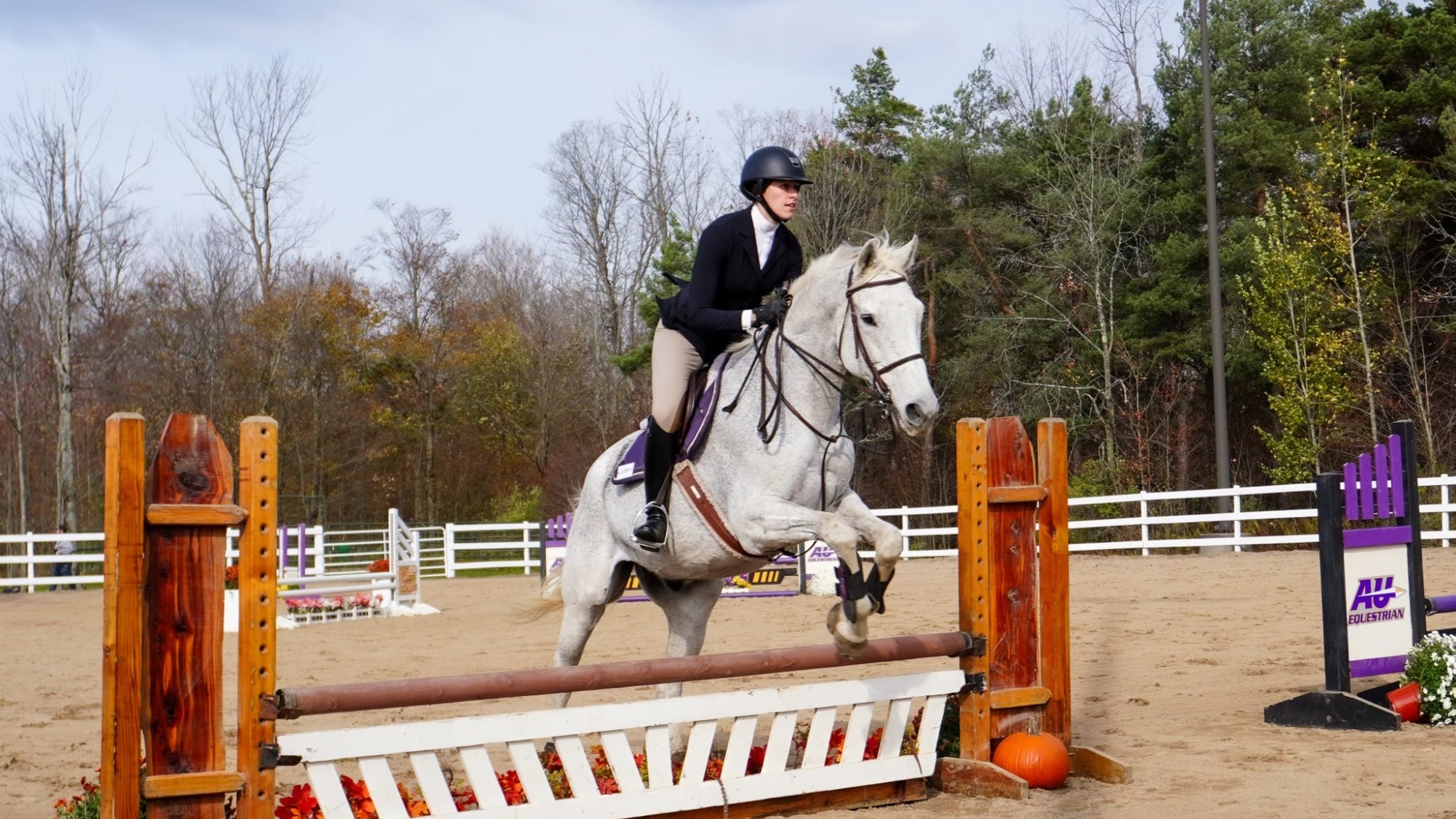 Cornell Equestrian competes at Alfred Show I