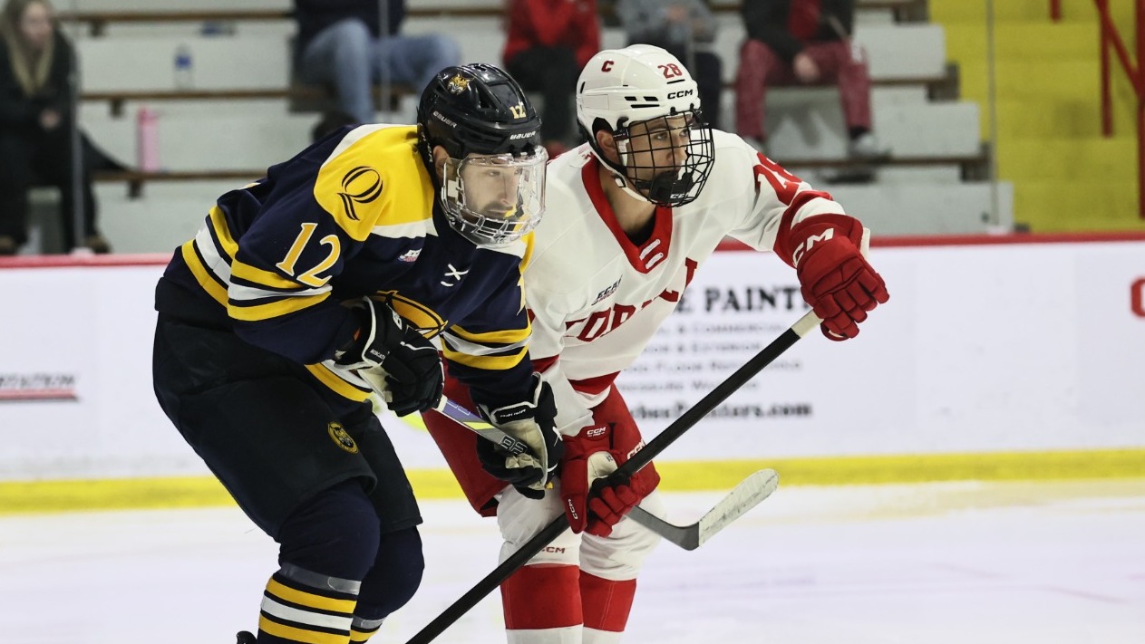 Cornell men's hockey senior forward Nick DeSantis battles with a Quinnipiac player during game action at Lynah Rink in Ithaca, N.Y., on Jan. 17, 2026.