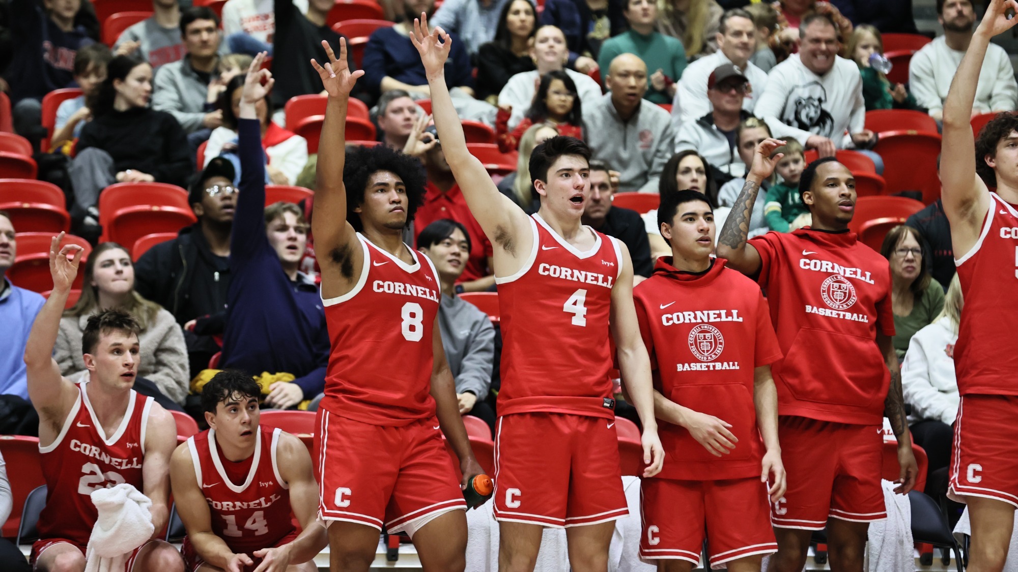 The Cornell bench celebrates a play during the Big Red's 73-54 loss to Harvard on Feb. 21, 2026 at Newman Arena in Ithaca, N.Y.