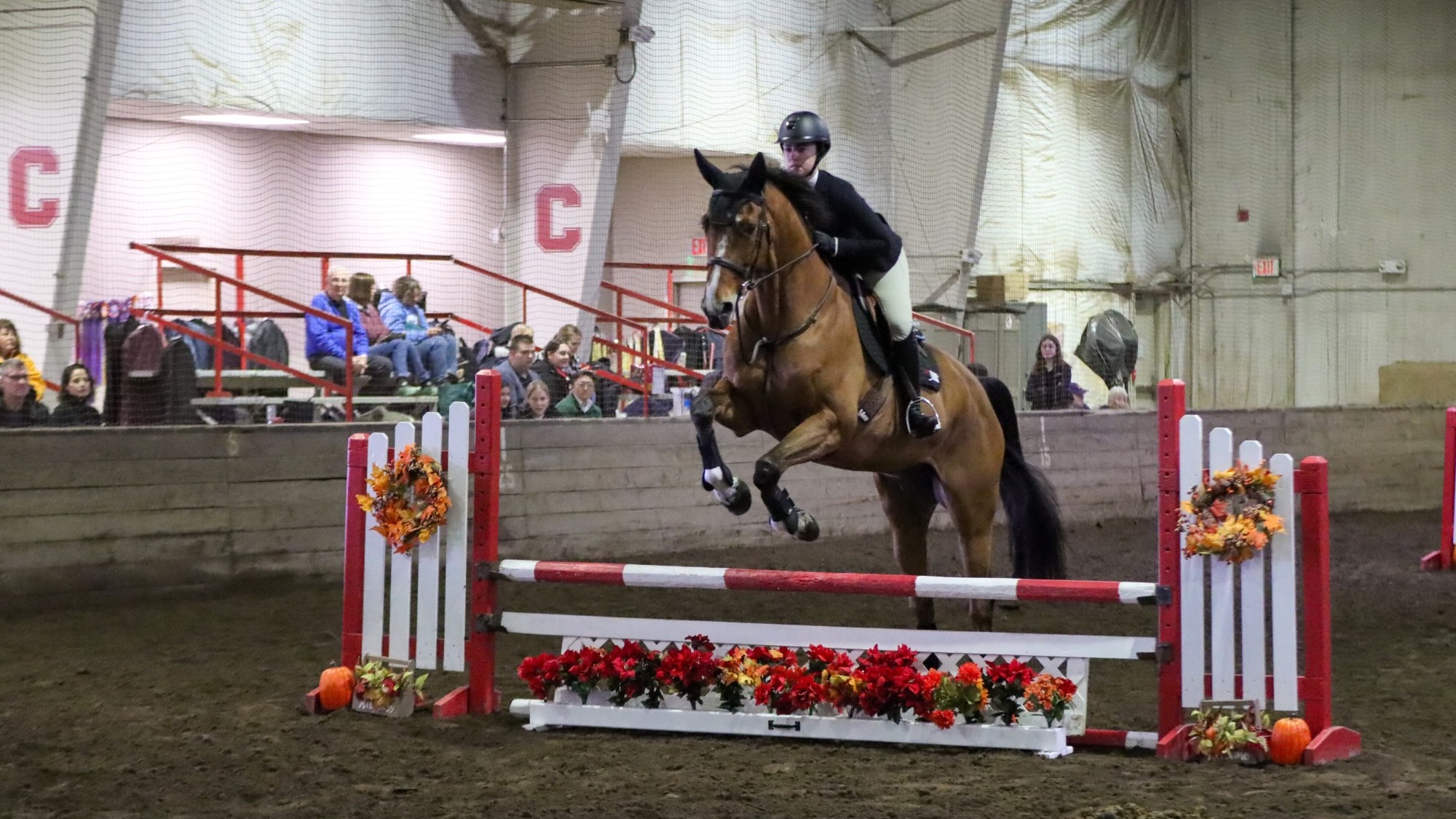 Cornell Equestrian Action Photo