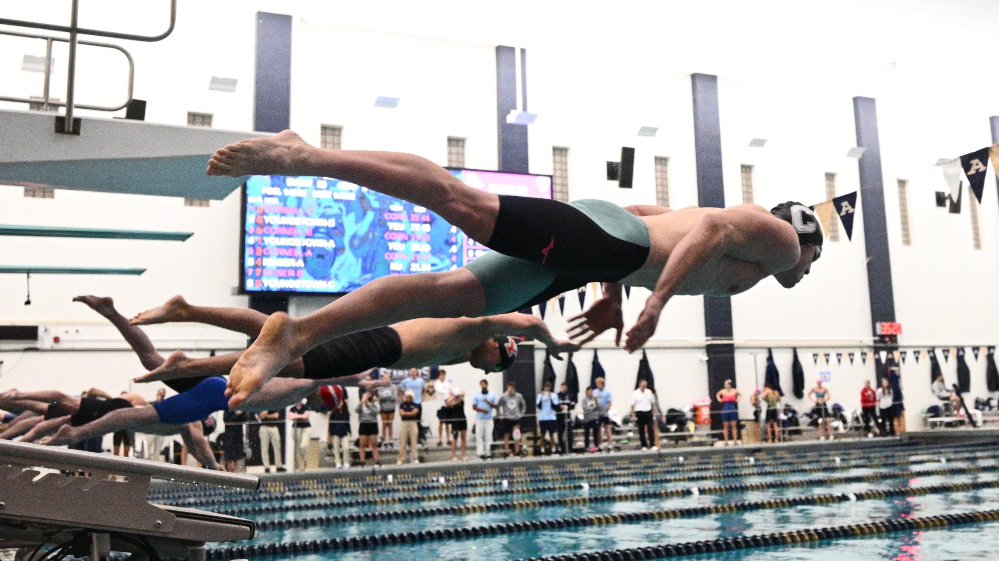 Men's swimming and diving competes at the Zippy Invitational.