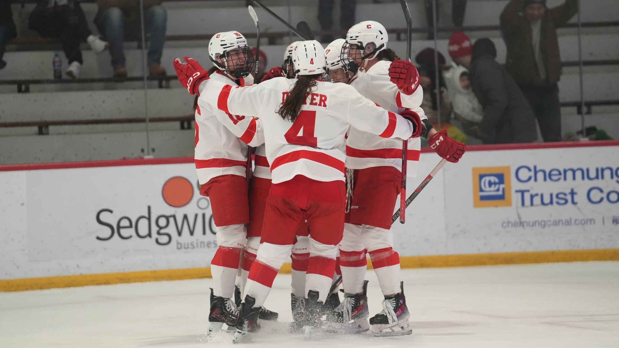 Cornell celebrates a goal at Lynah Rink.
