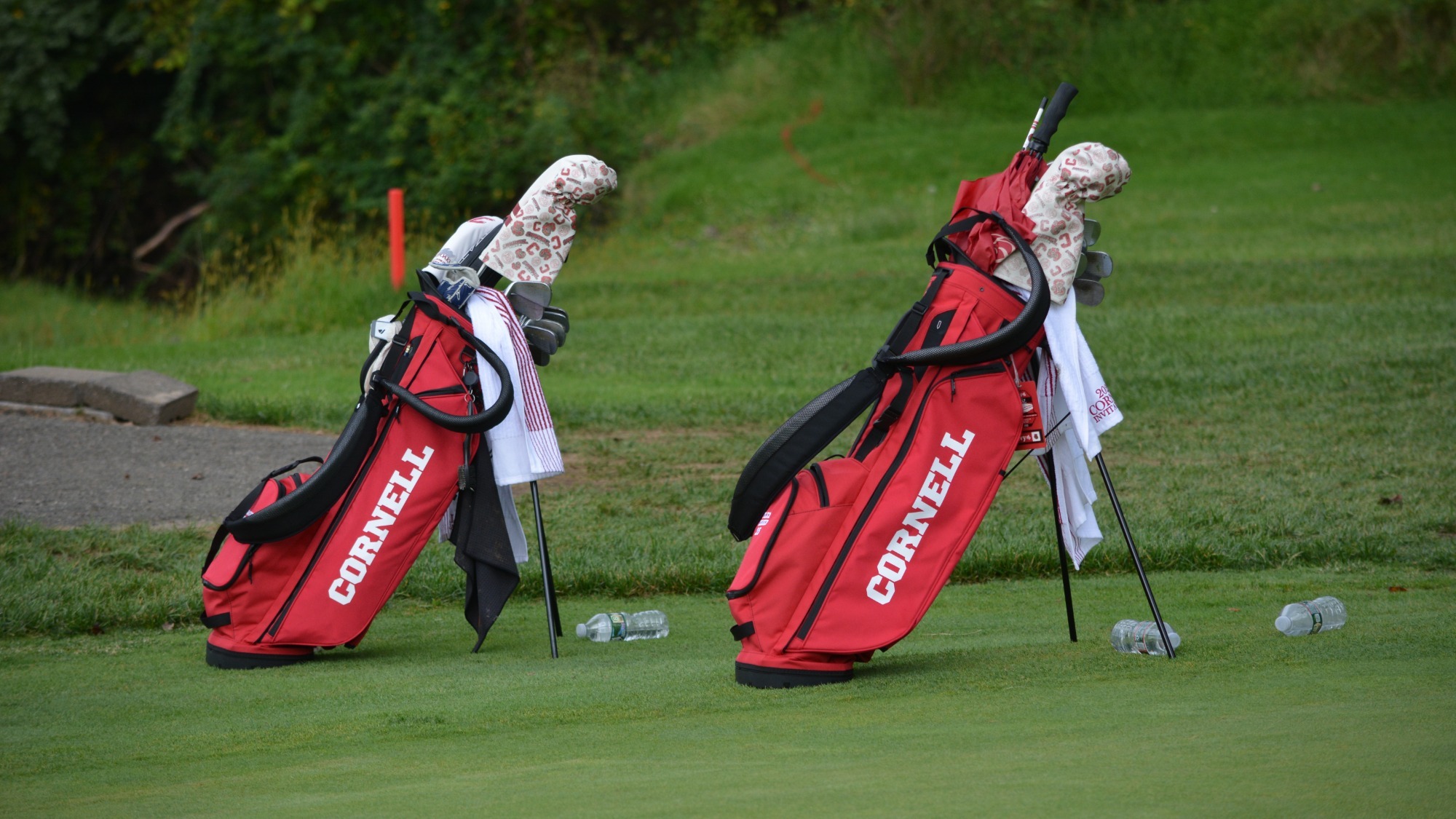 Golf Bags