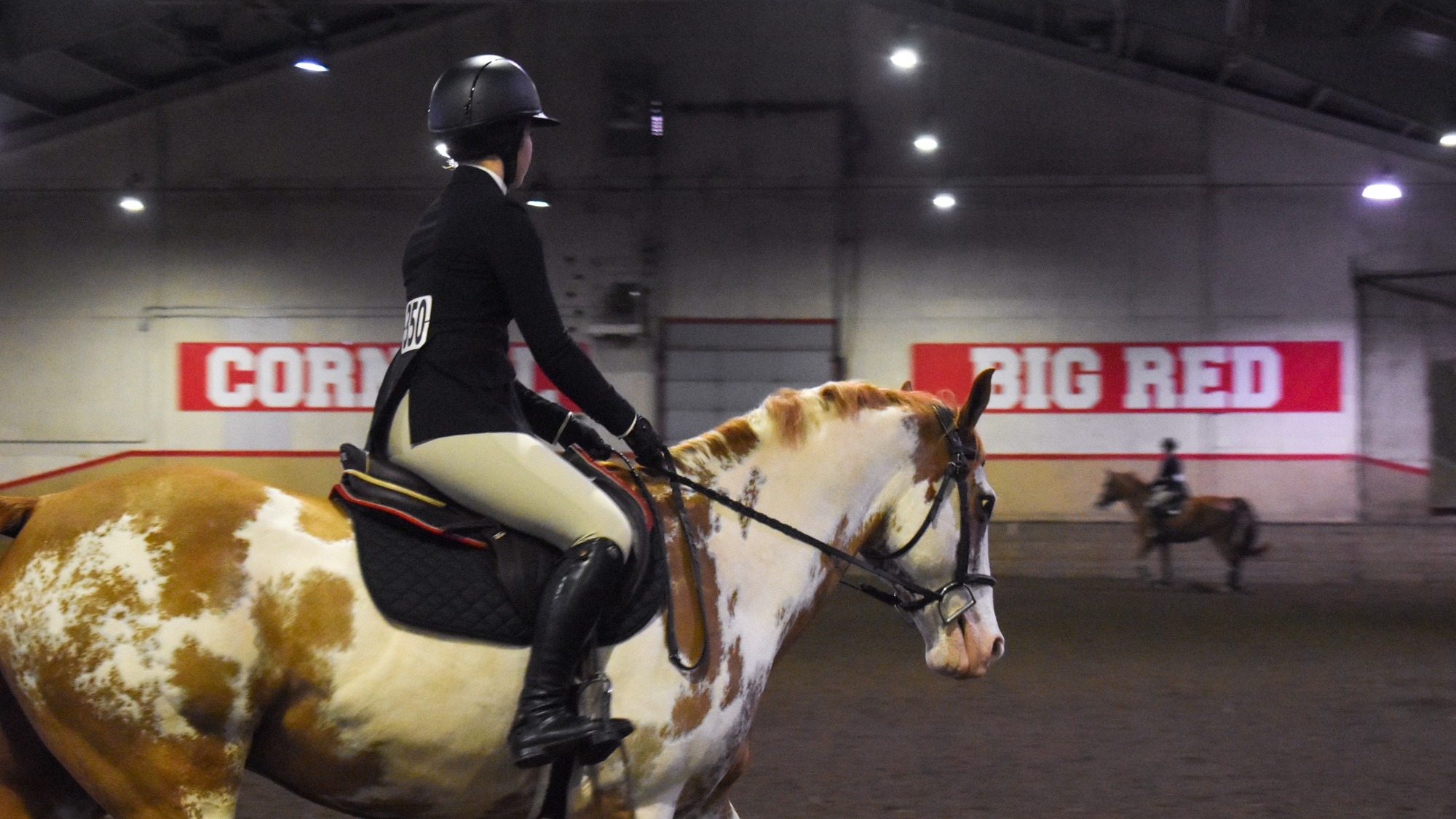 Equestrian Action Shot from Cornell Show I