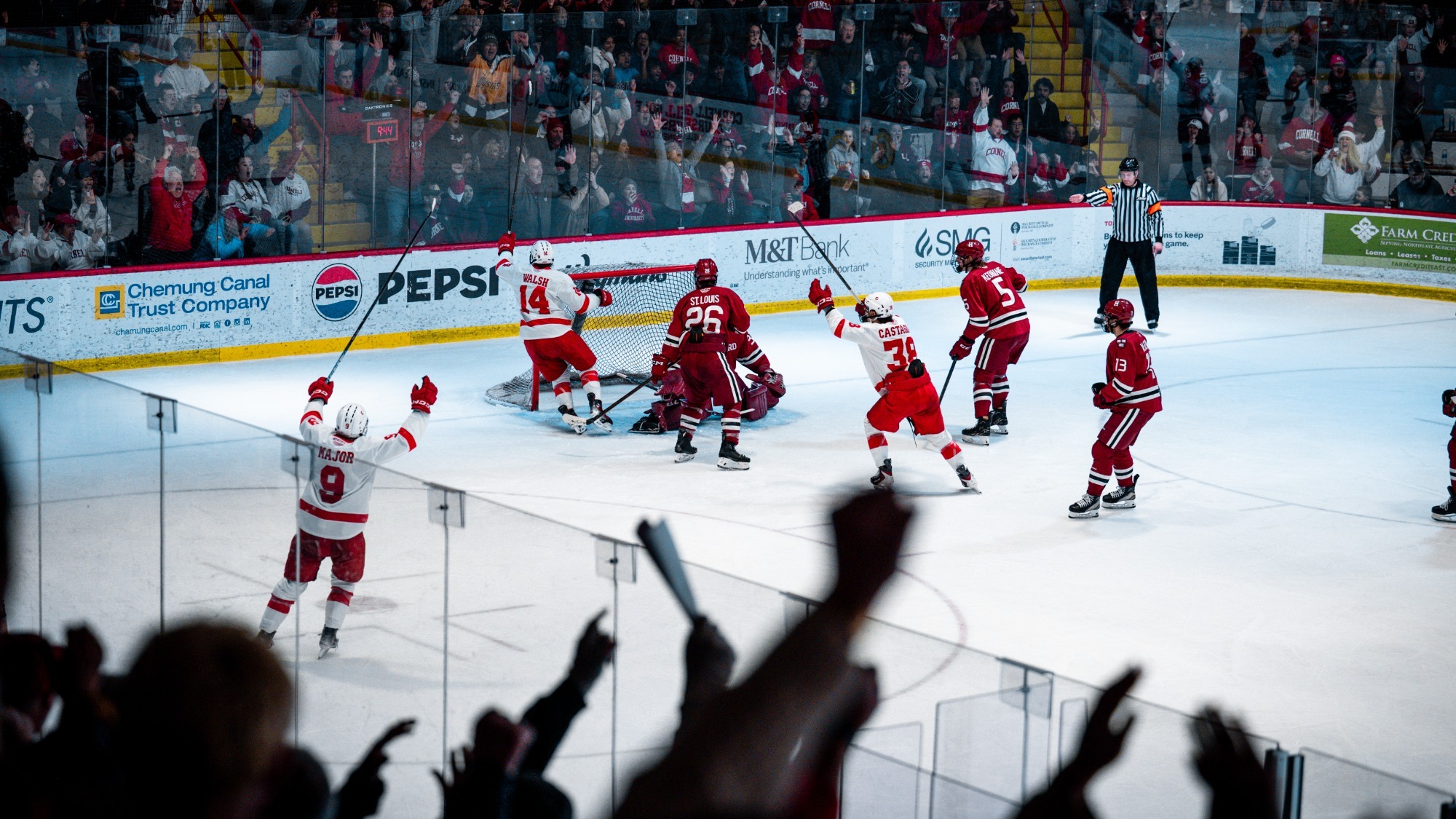 Cornell men's hockey junior forward Ryan Walsh celebrates after scoring his second-period power-play goal against Harvard at Lynah Rink in Ithaca, N.Y., on March 15, 2026.