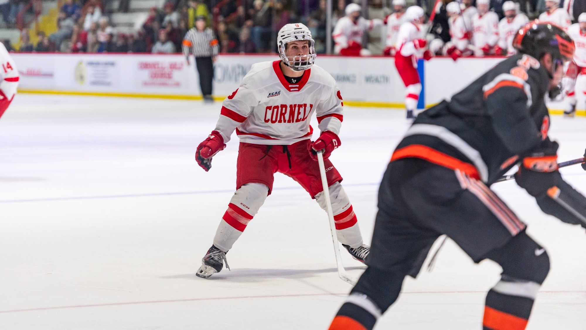 Cornell men's hockey sophomore forward Charlie Major forechecks against Princeton during game action at Lynah Rink on Jan. 16, 2026, in Ithaca, N.Y.