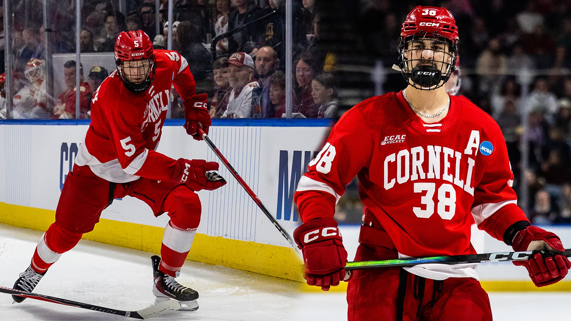 A combination of action photos of Cornell men's hockey junior defenseman Hoyt Stanley and junior forward Jonathan Castagna during game action against Denver on March 27, 2026, at Blue Arena in Loveland, Colo.