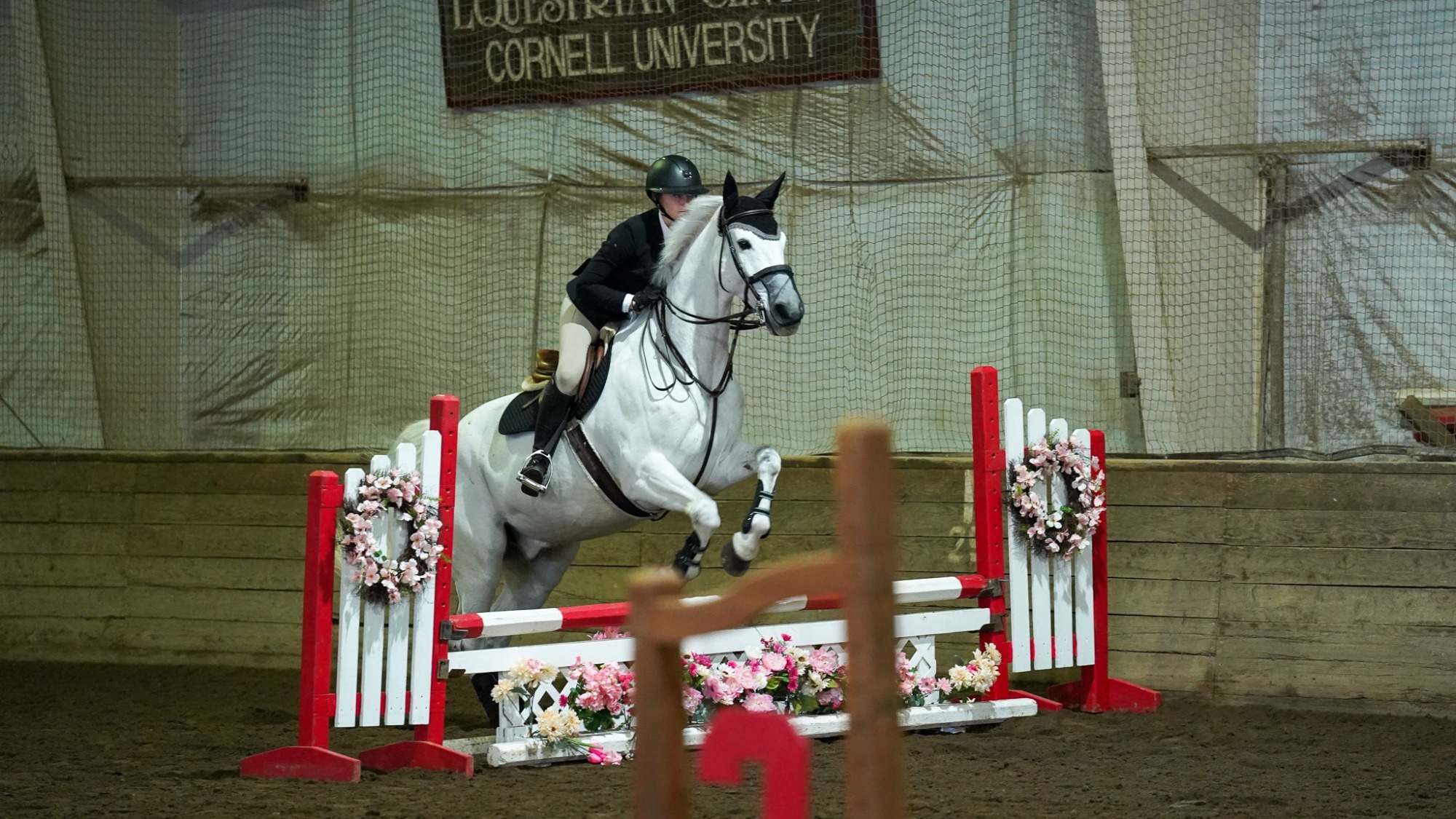 Cornell Equestrian Regional Championship Action Shot