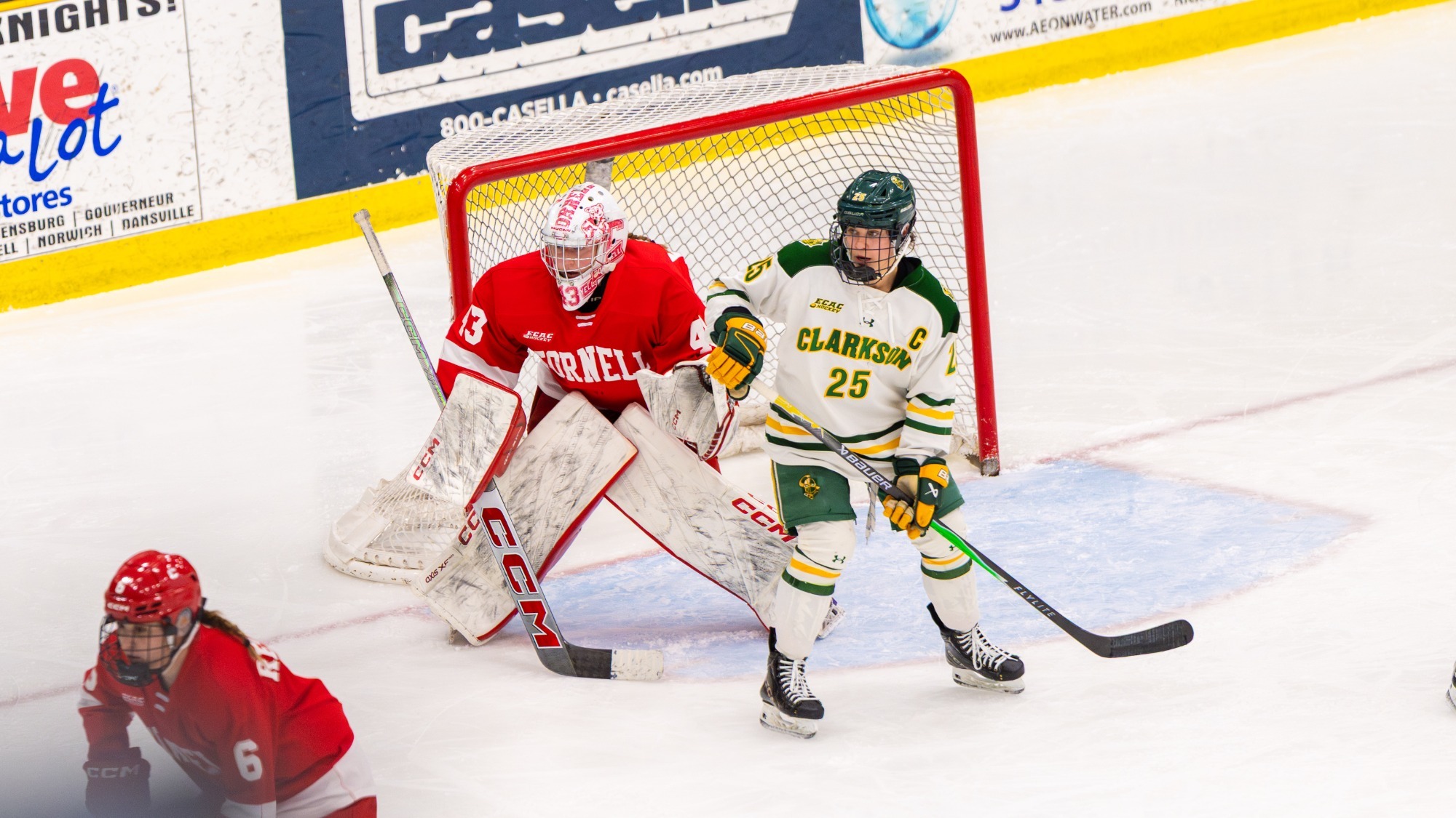 Bergmann protects the goal against Clarkson at Lynah Rink.