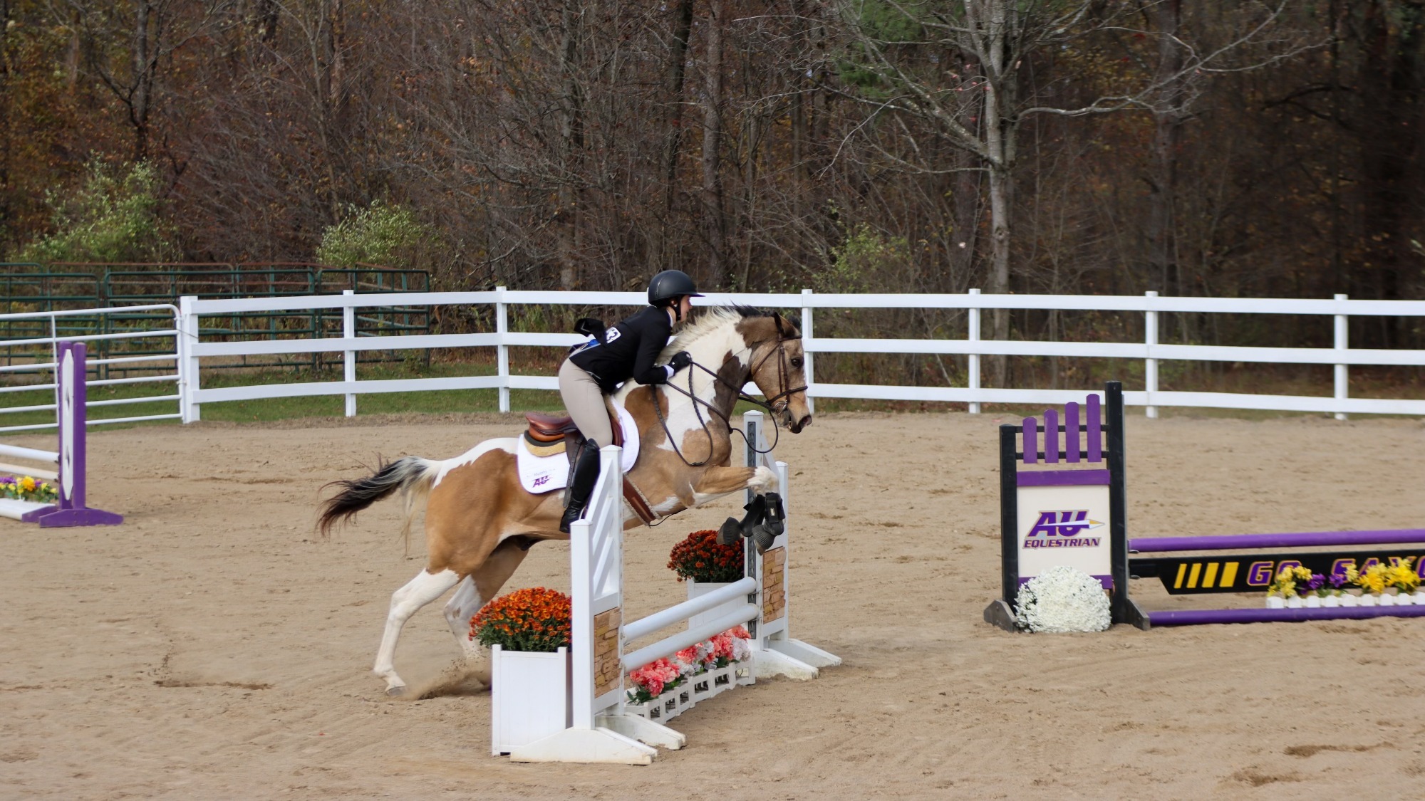 Cornell EQ Alfred Show I Action Shot