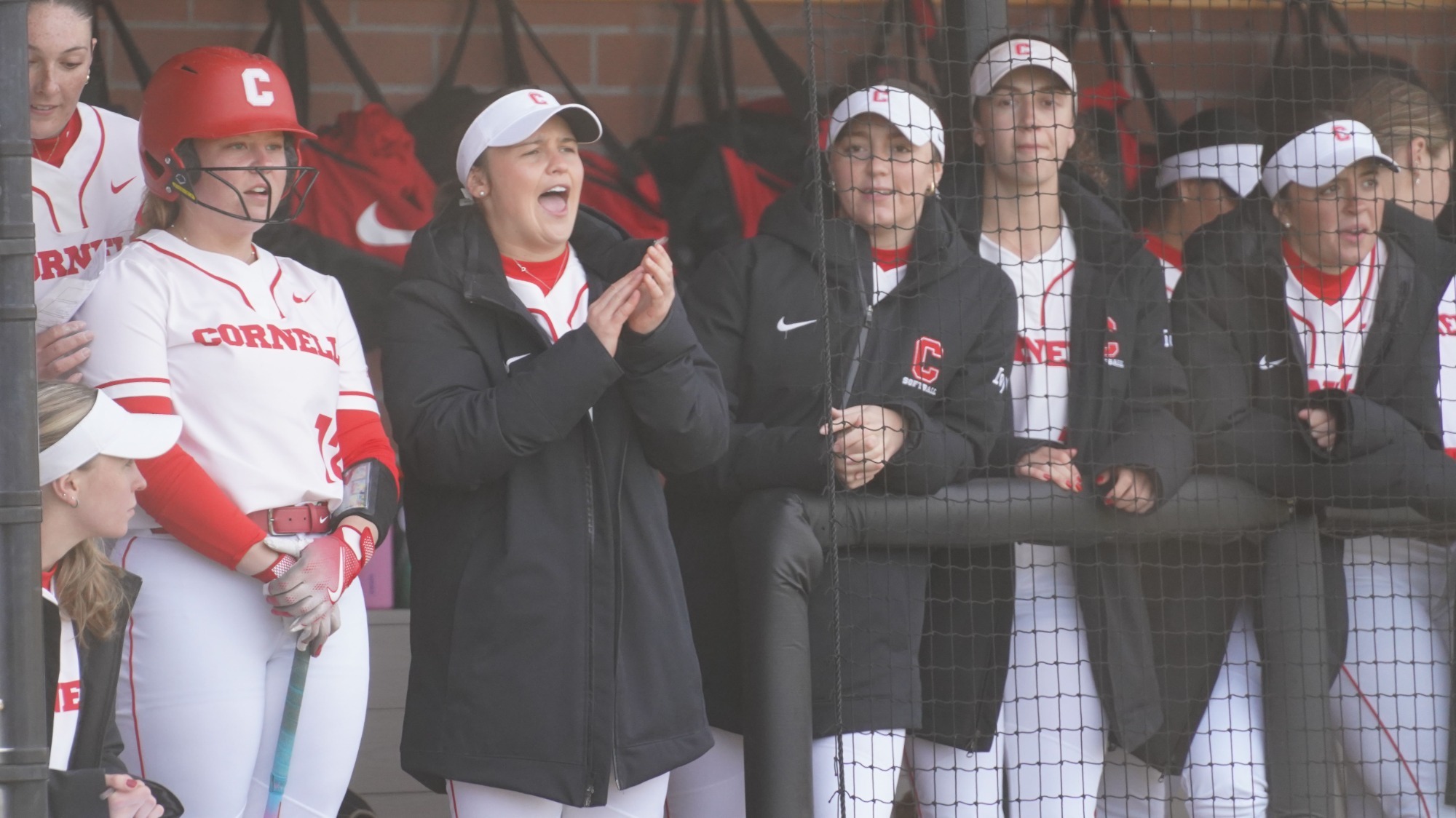 Softball players cheer in the dugout at Niemand-Robison Field.