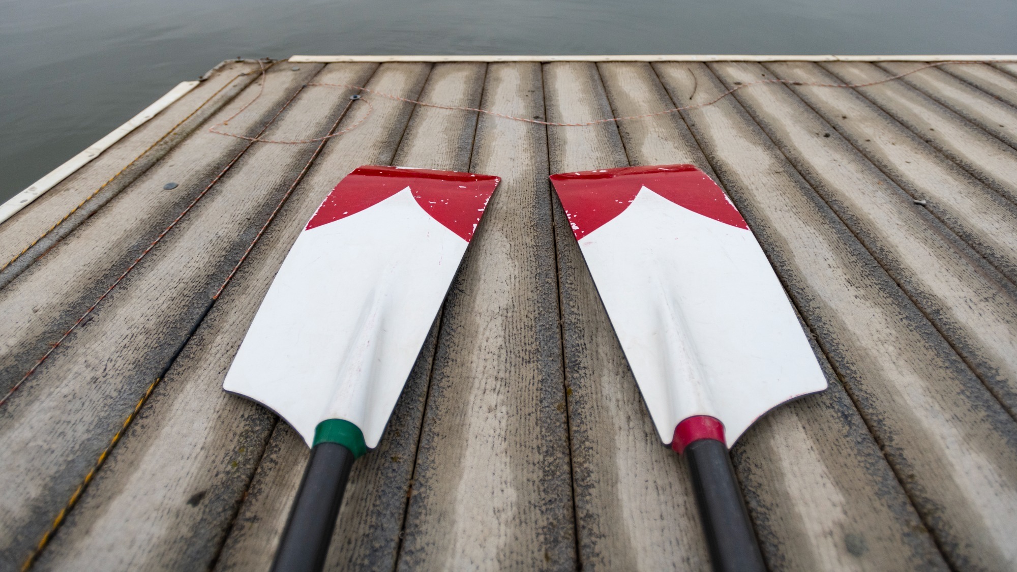 Big Red paddles on the dock at the Cornell Rowing Center.