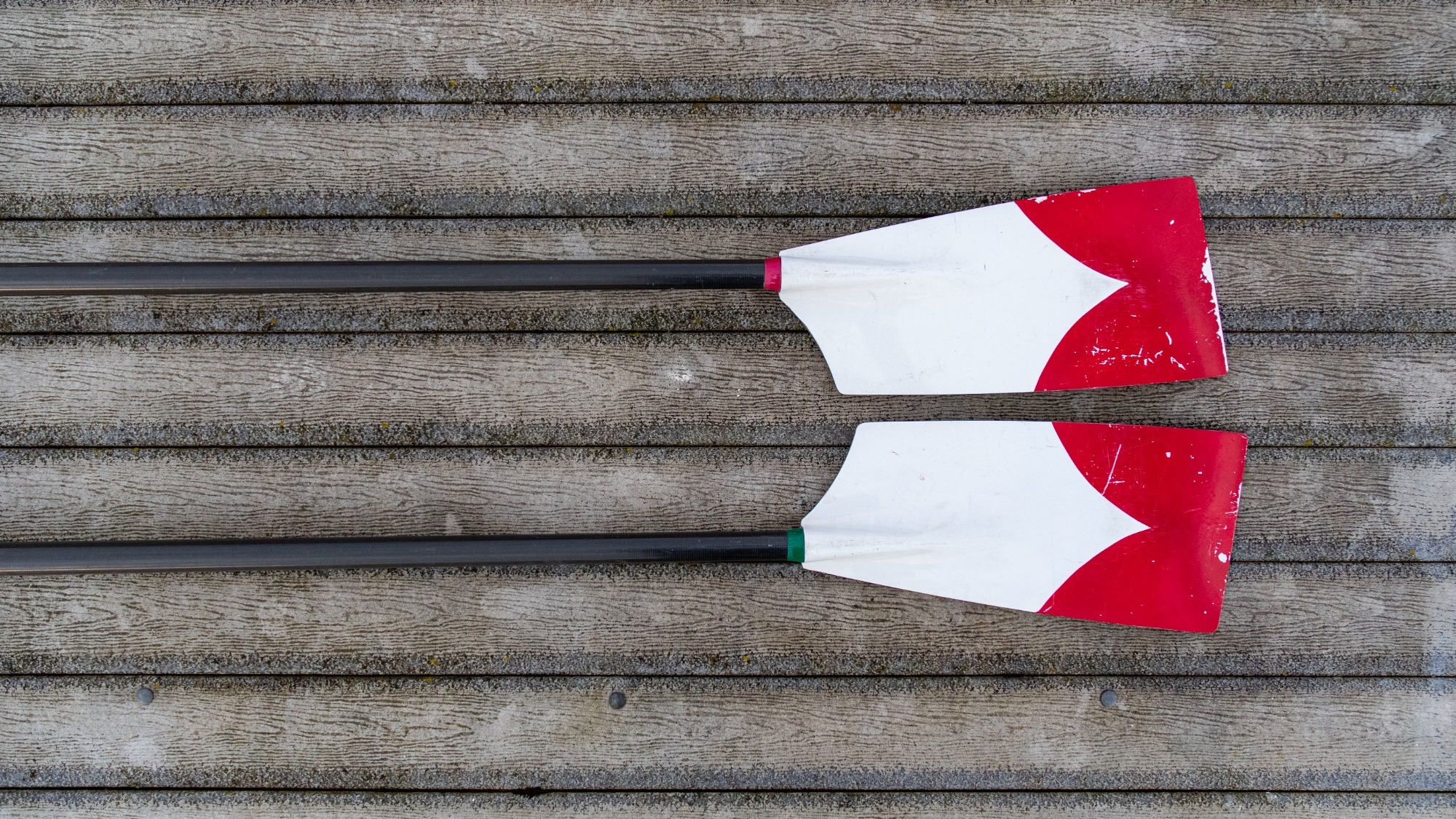 Cornell rowing paddles on the dock at the Cornell Rowing Center.