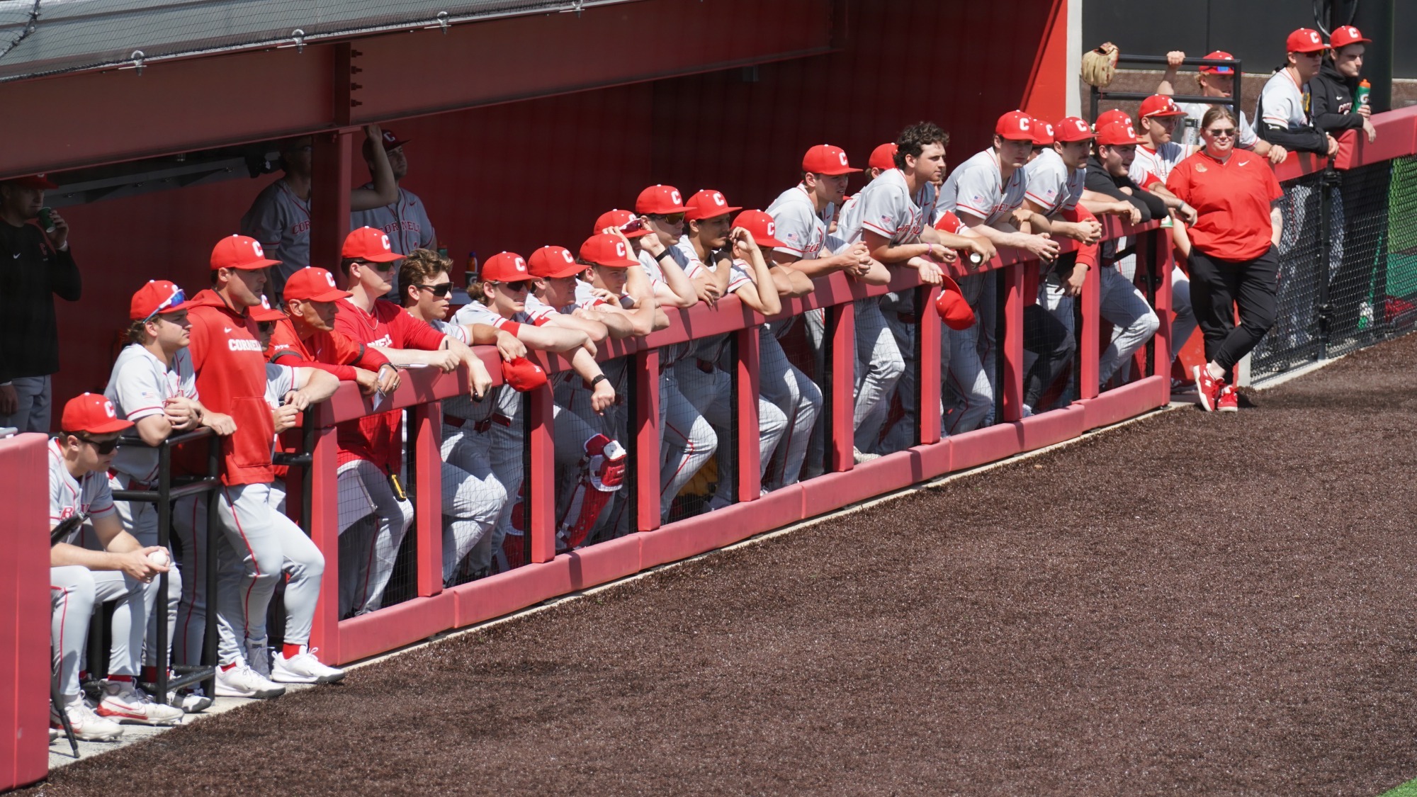 A wide-angle photo of the Cornell baseball dugout during game action against Yale at Booth Field in Ithaca, N.Y., on April 18, 2026.