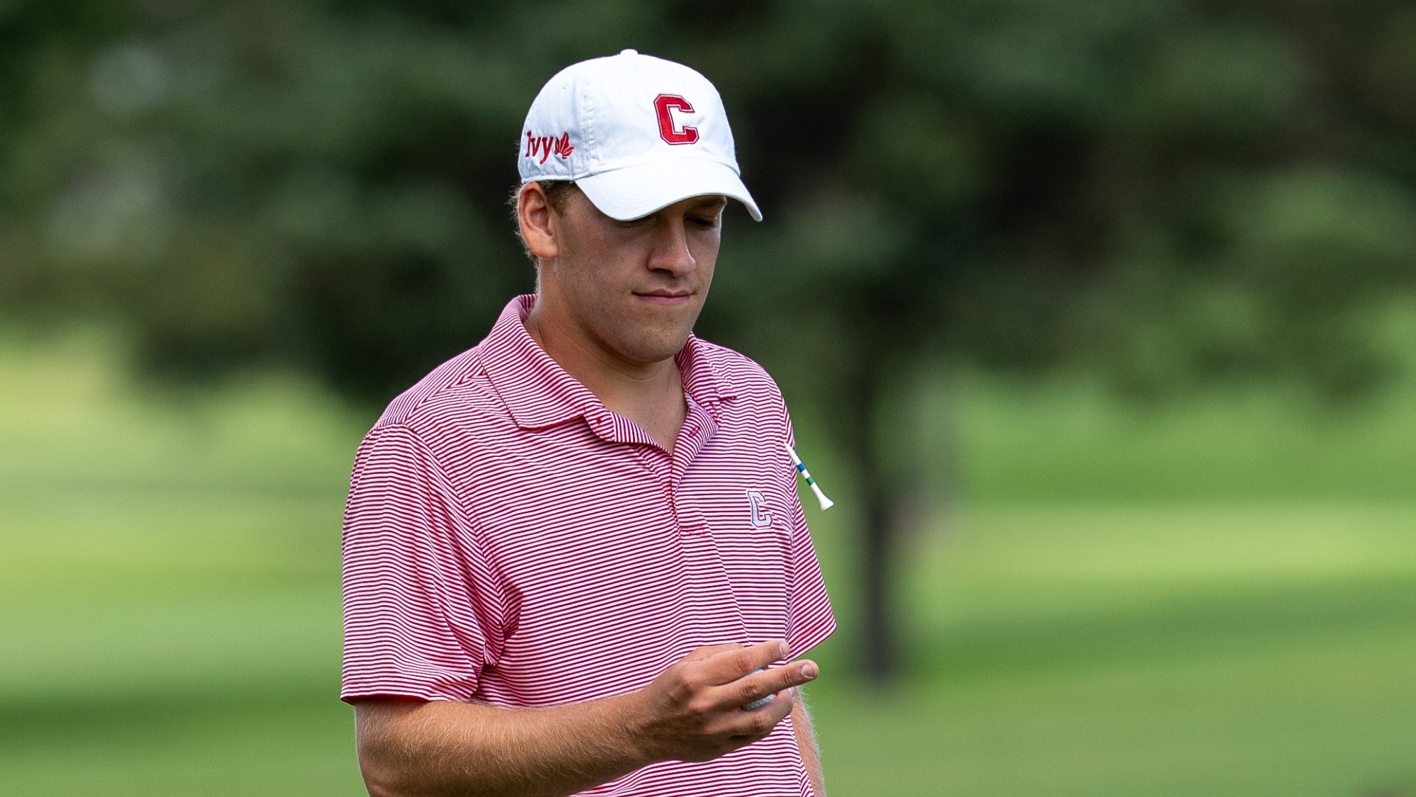 TJ Betlow flips a tee at the 2026 Alex Lagowitz Memorial 