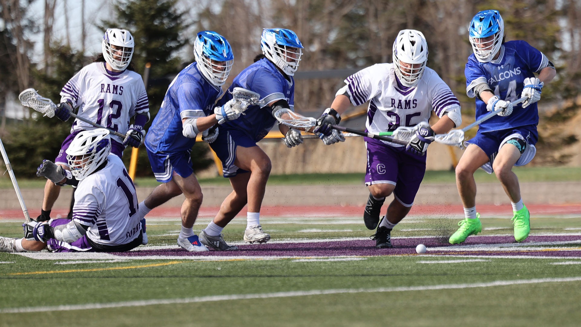 Wojewski, Rivera, Warnke