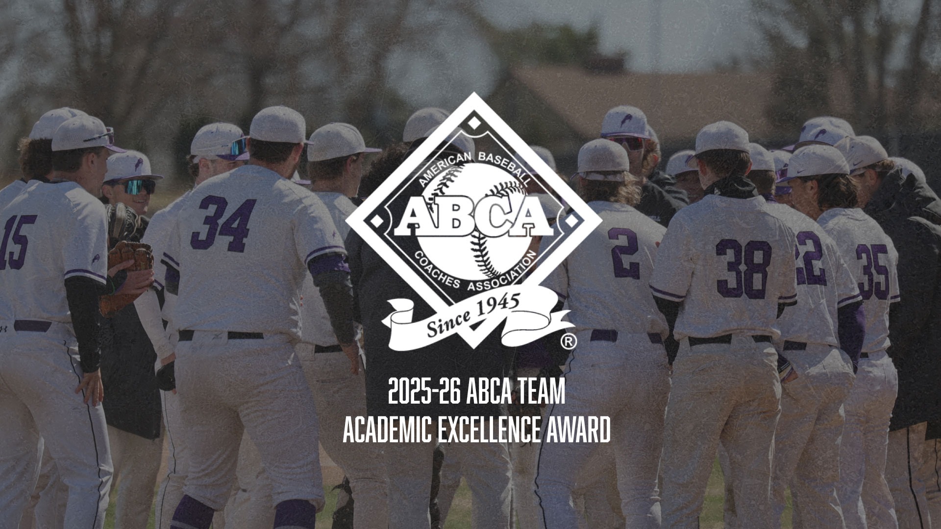 Baseball ABCA Academic Award 2026