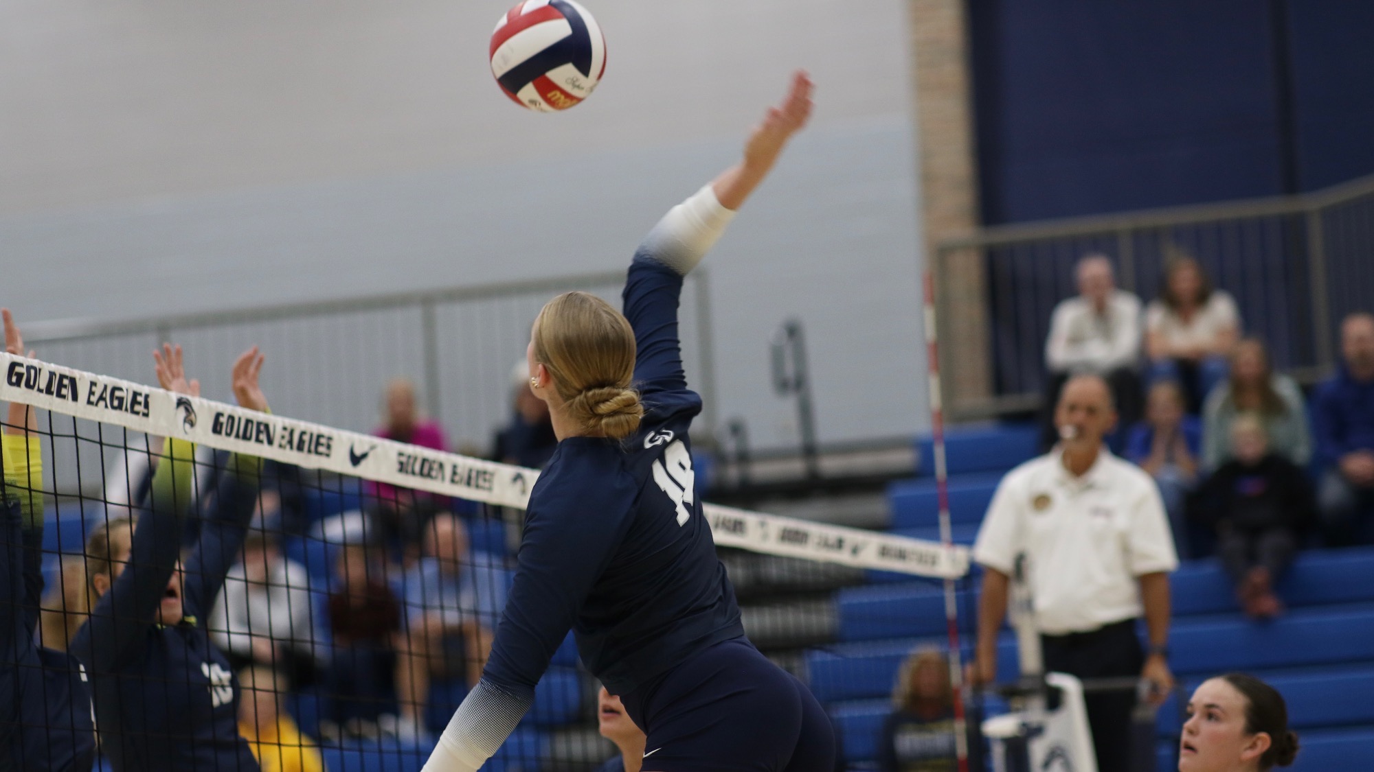 WVB