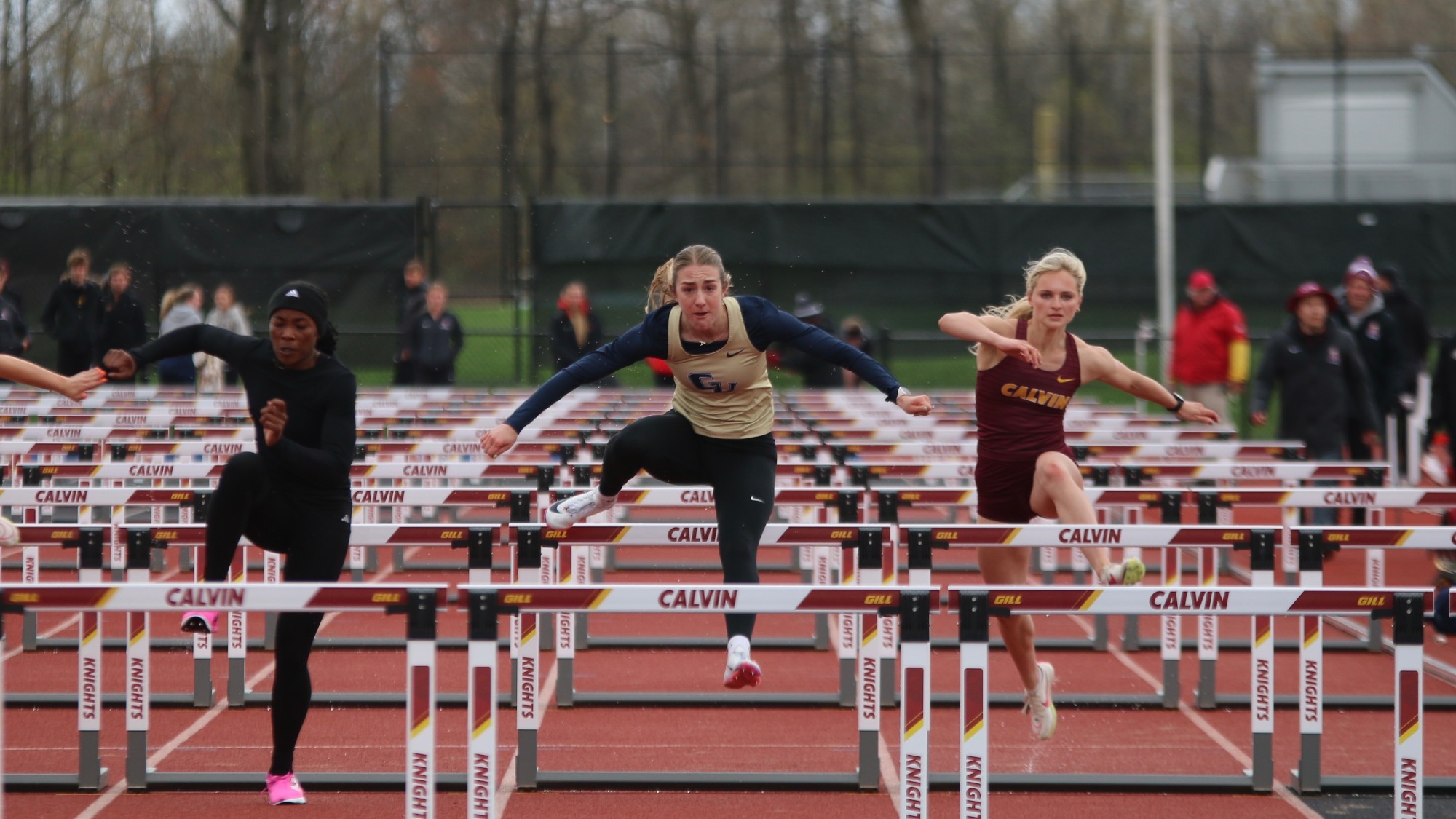 Dix Hurdles