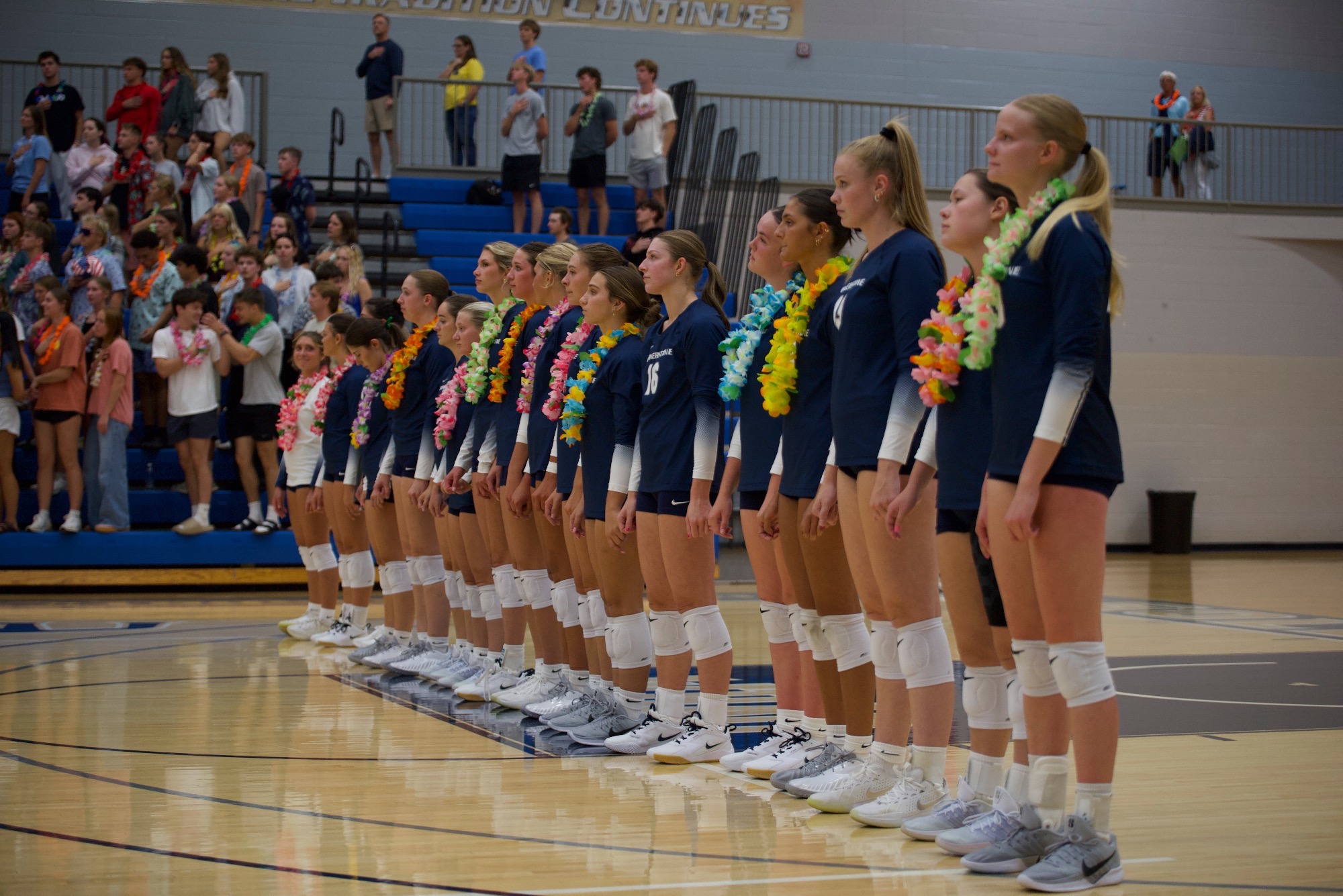 WVB