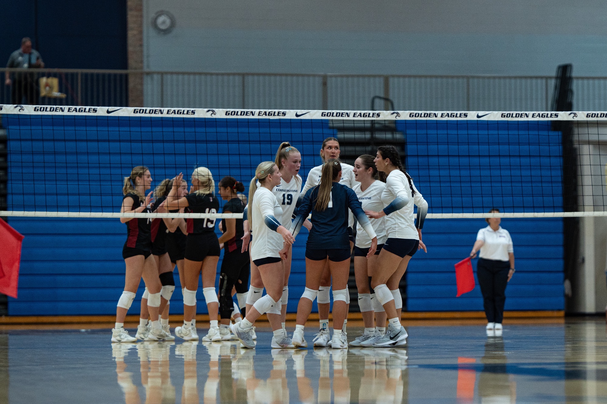 WVB vs AQ