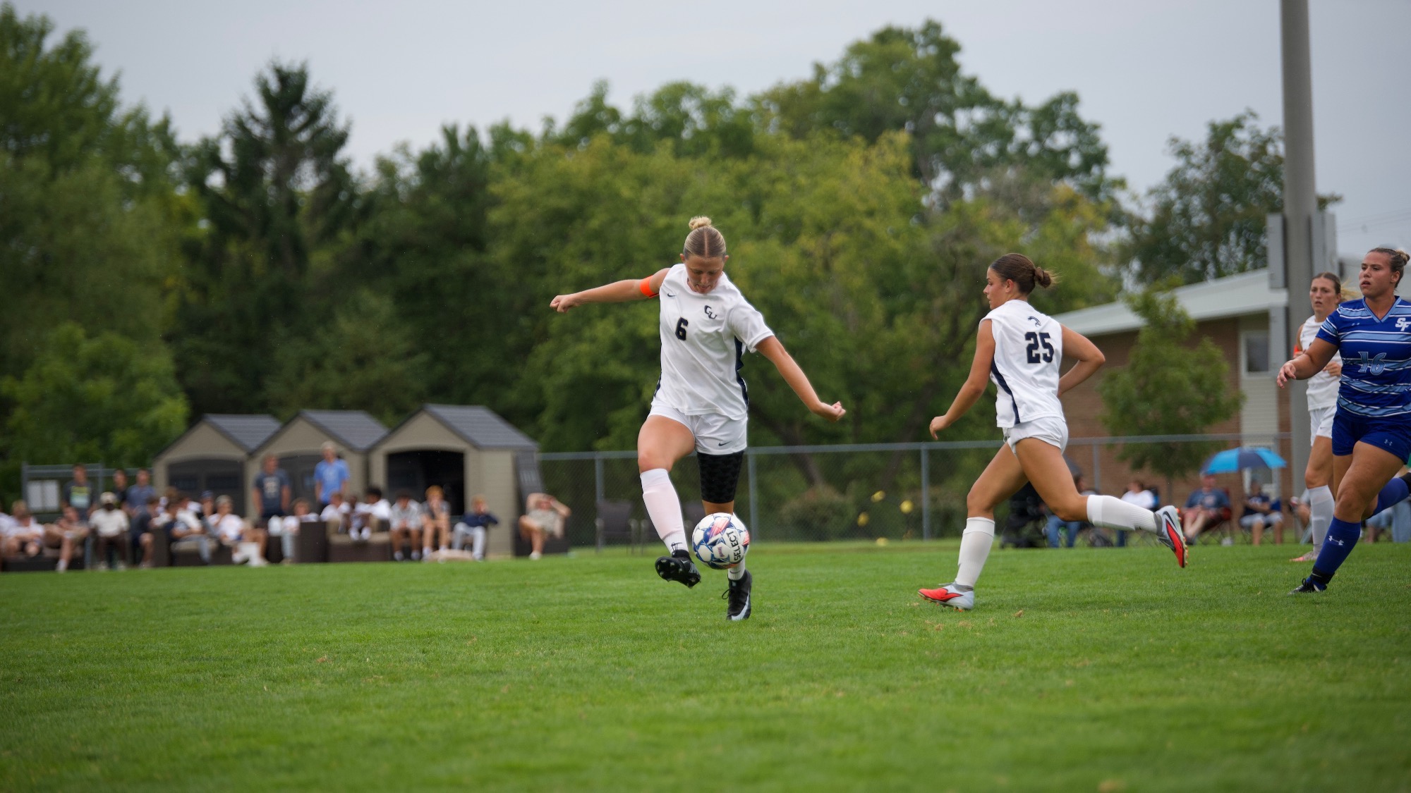 Koster vs USF