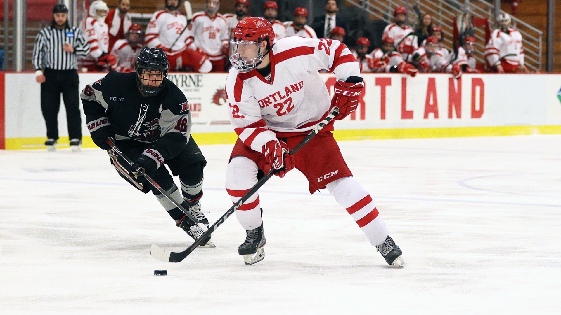 Nick Serio 202324 Men's Ice Hockey SUNY Cortland Athletics