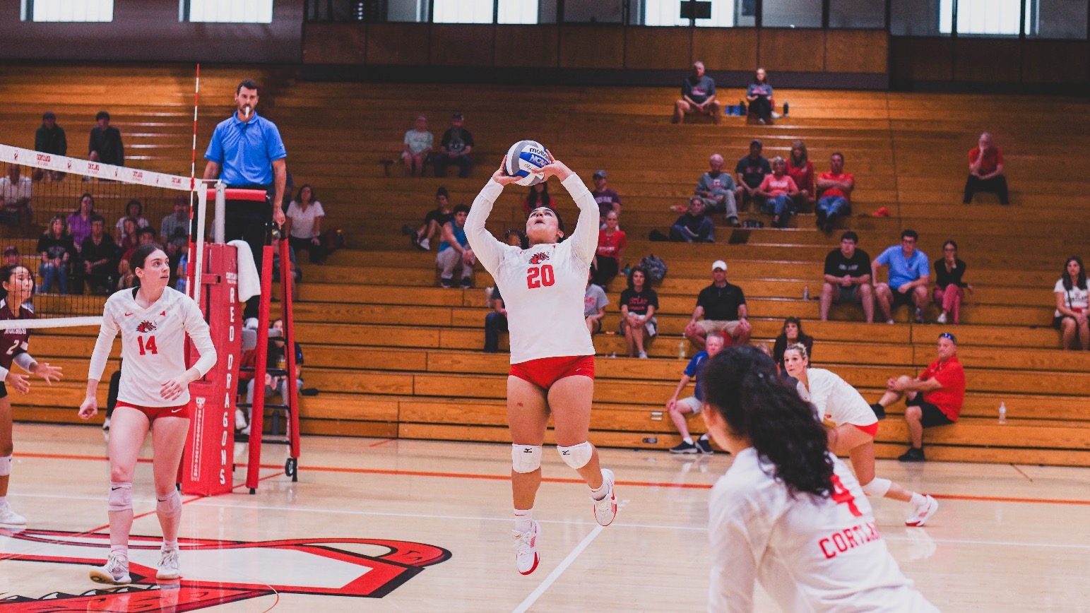 Samantha Rodriguez sets the ball against Muhlenberg