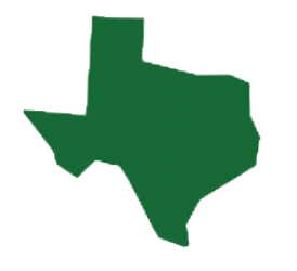 Texas icon