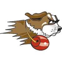 Opponent Logo