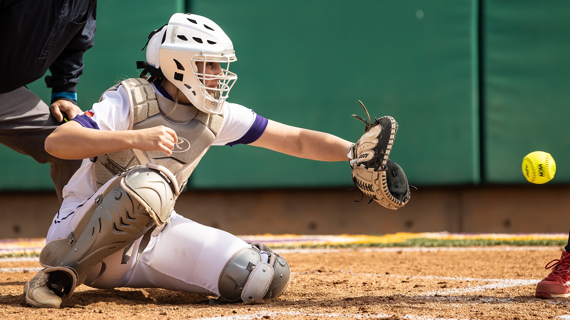 Blakely Niles Softball University of Mary HardinBaylor Athletics