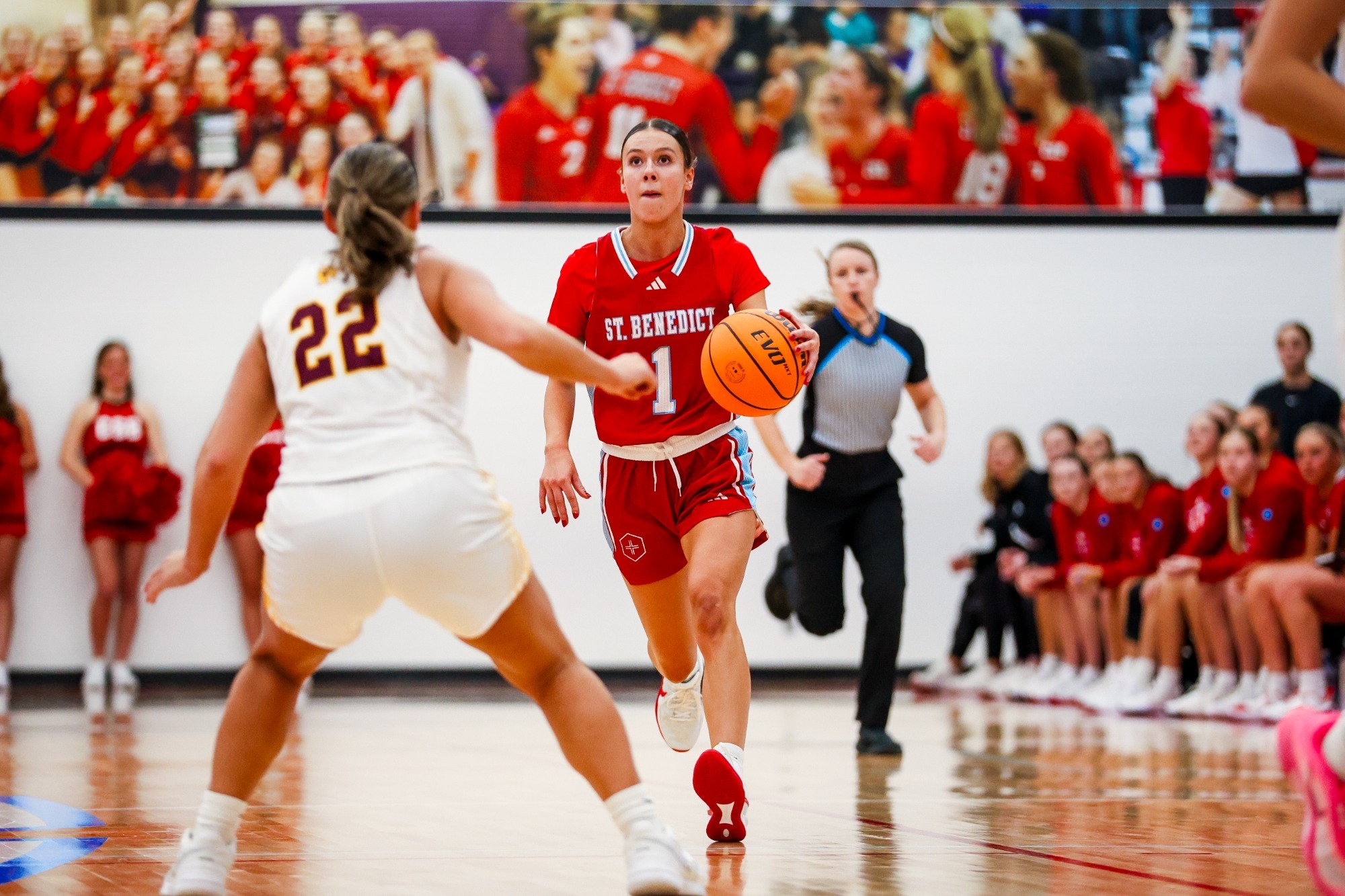 Lauren Arnold - CSB Basketball - vs Minnesota-Morris