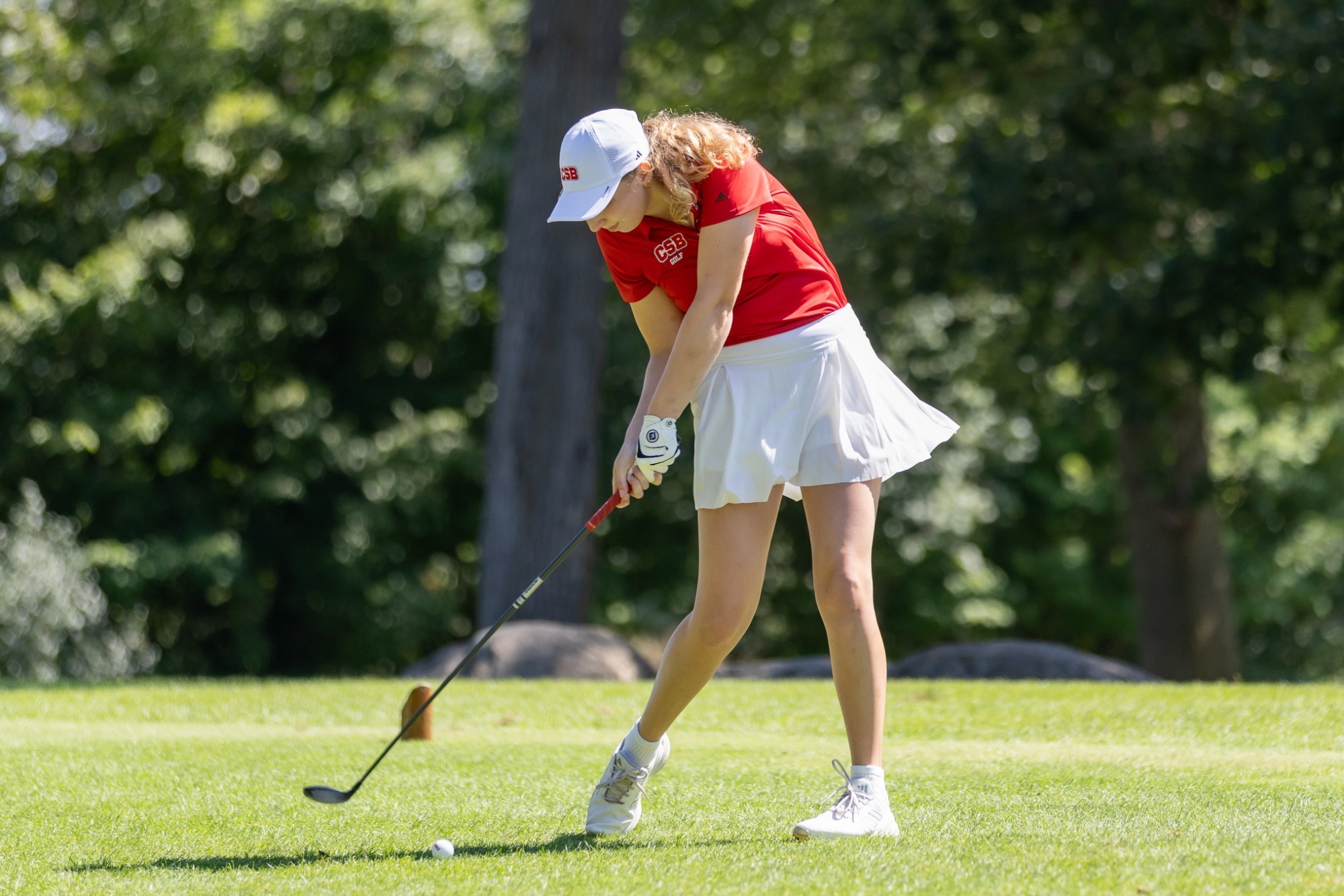 Catherine Jance - CSB Fall Invite - 2026