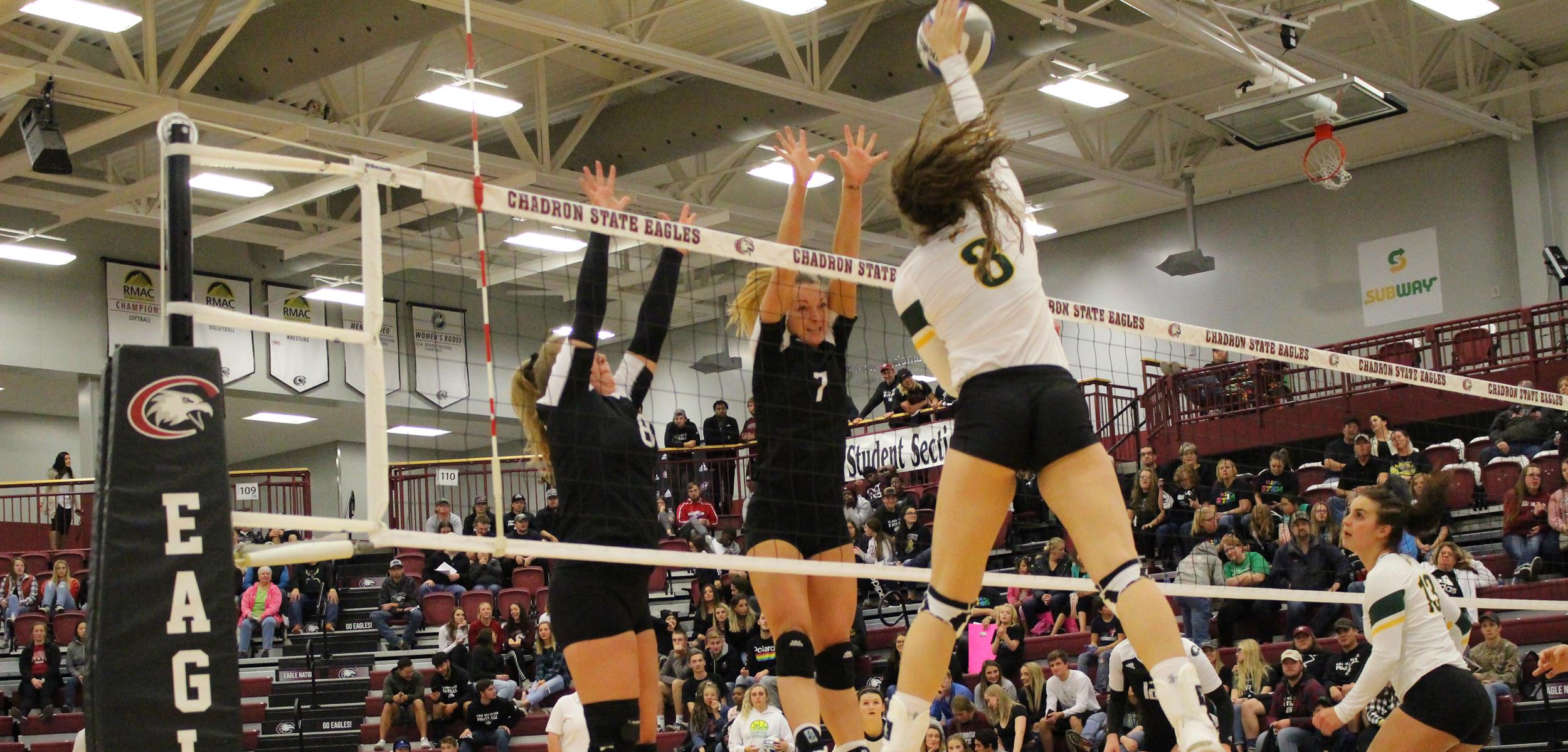 Chandler Hageman Volleyball Chadron State College Athletics