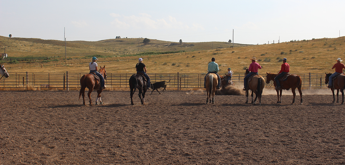CSC cowboy wins steer wrestling again Chadron State College Athletics