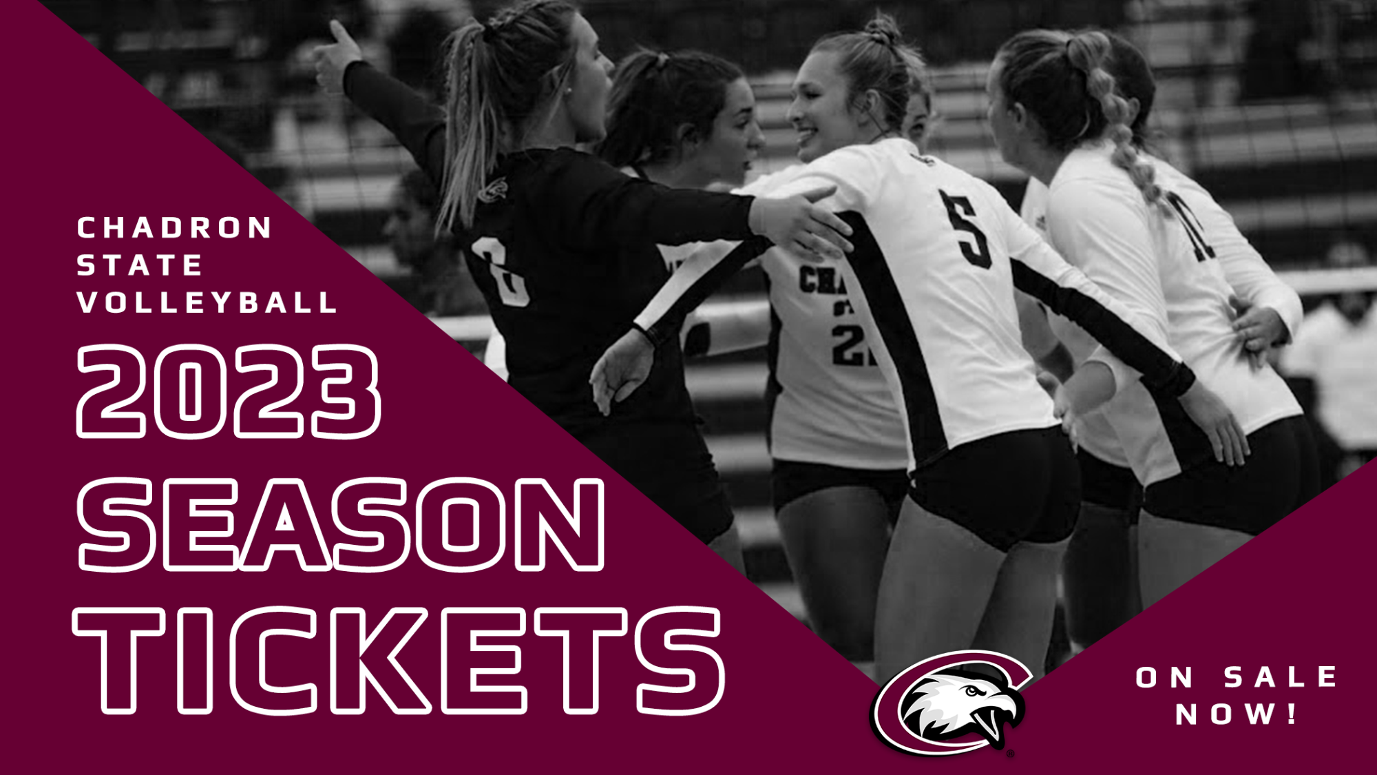 CSC Volleyball season ticket renewals now available Chadron State