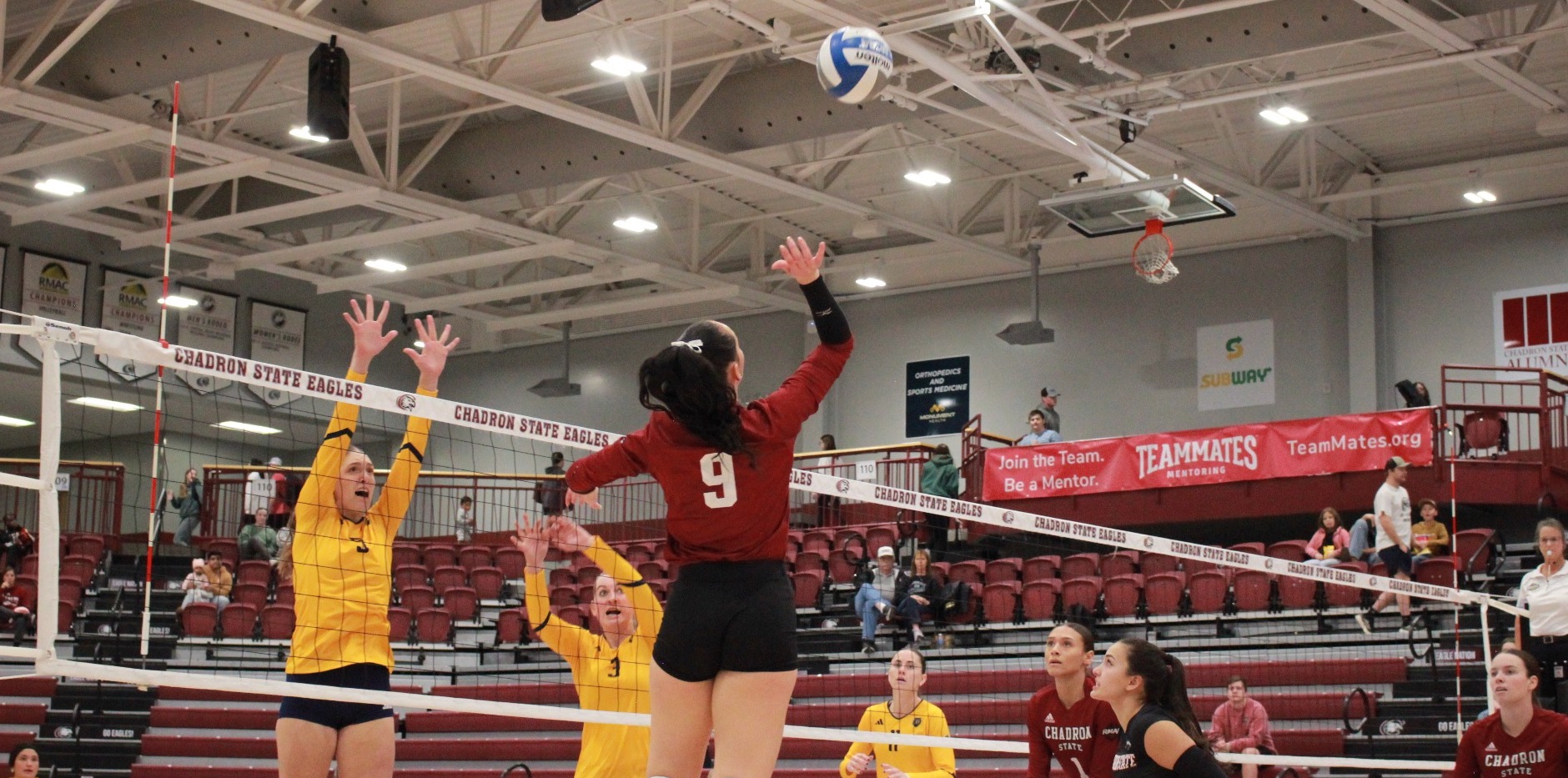 shelby-harding-regis