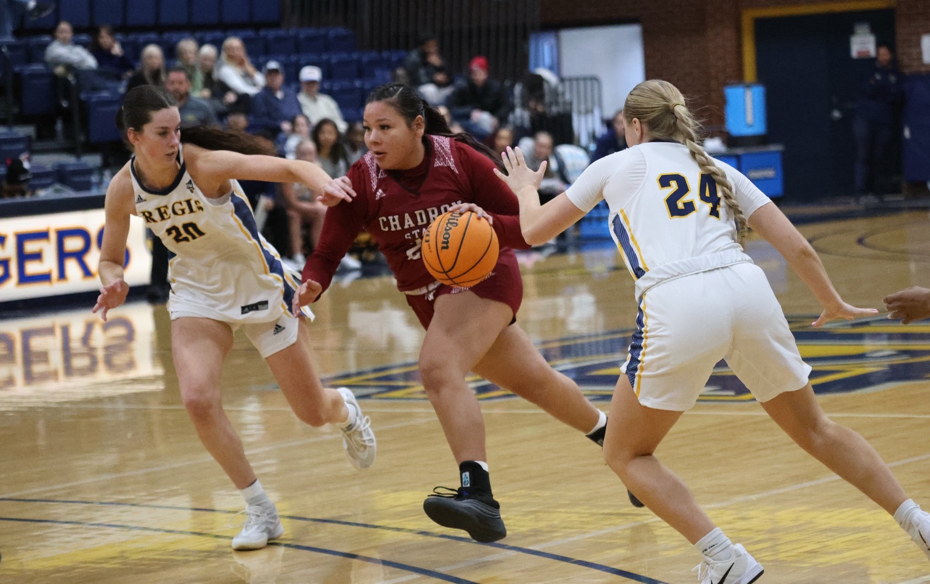 Evelyn-old-coyote-regis