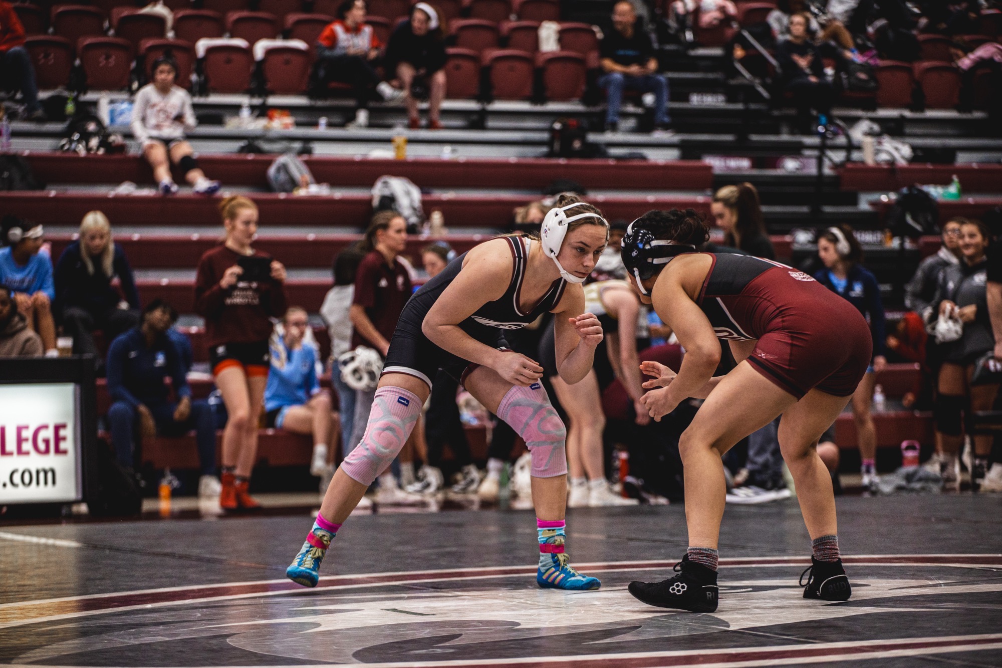 piper-cadden-csc-open