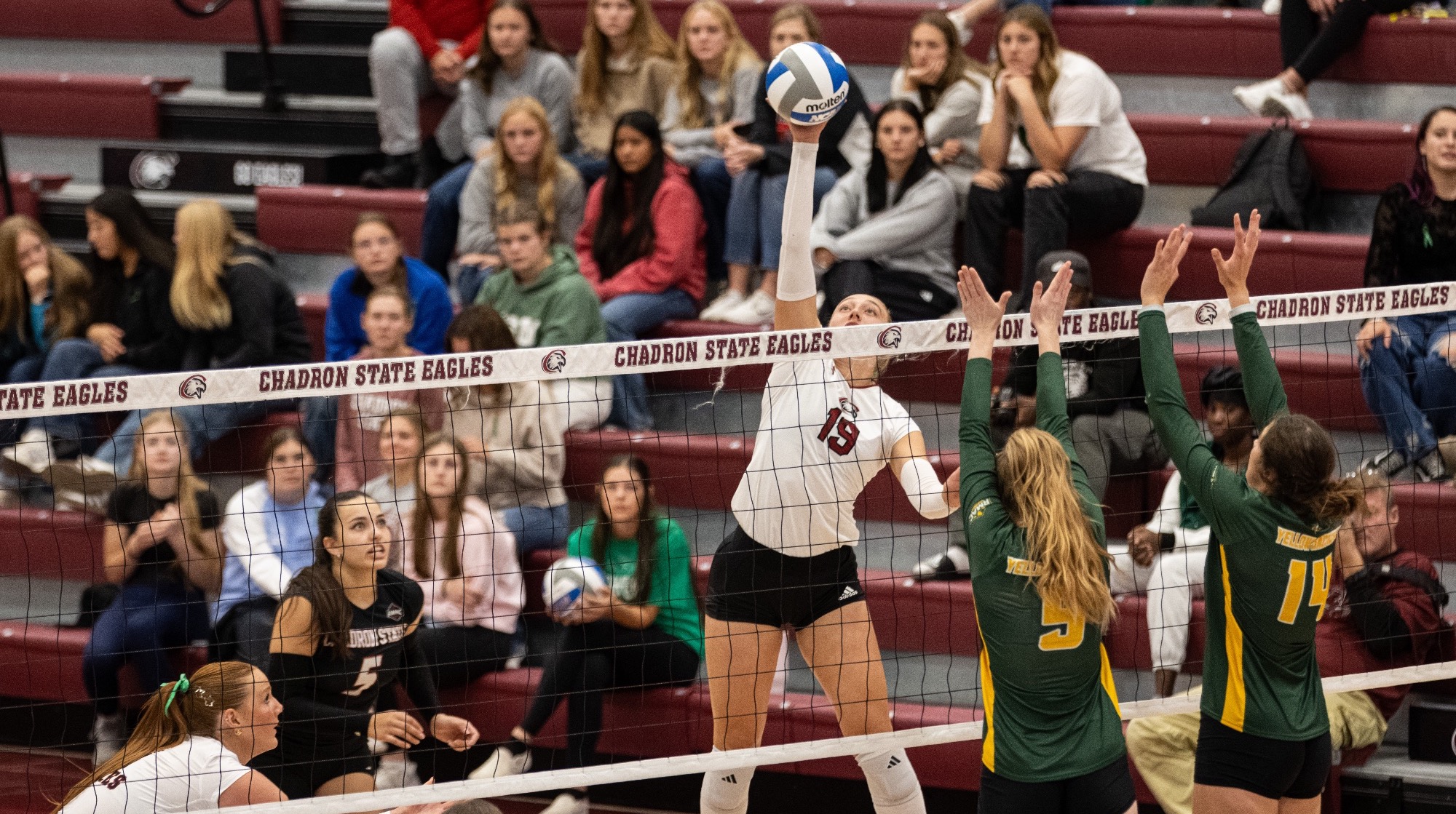 Mataya Ward gets ready to spike vs. BHSU