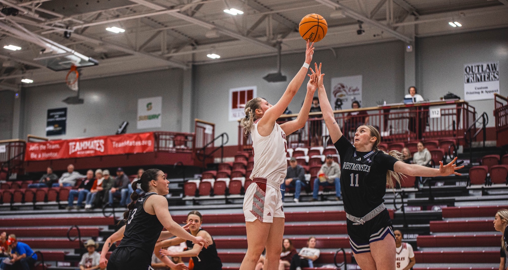 mckenzi-petersen-westminster