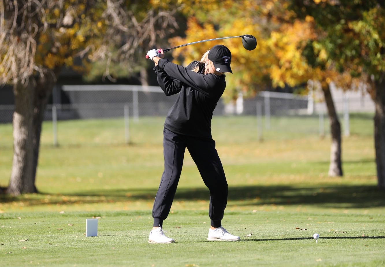 yellowjacket-blonde-drive